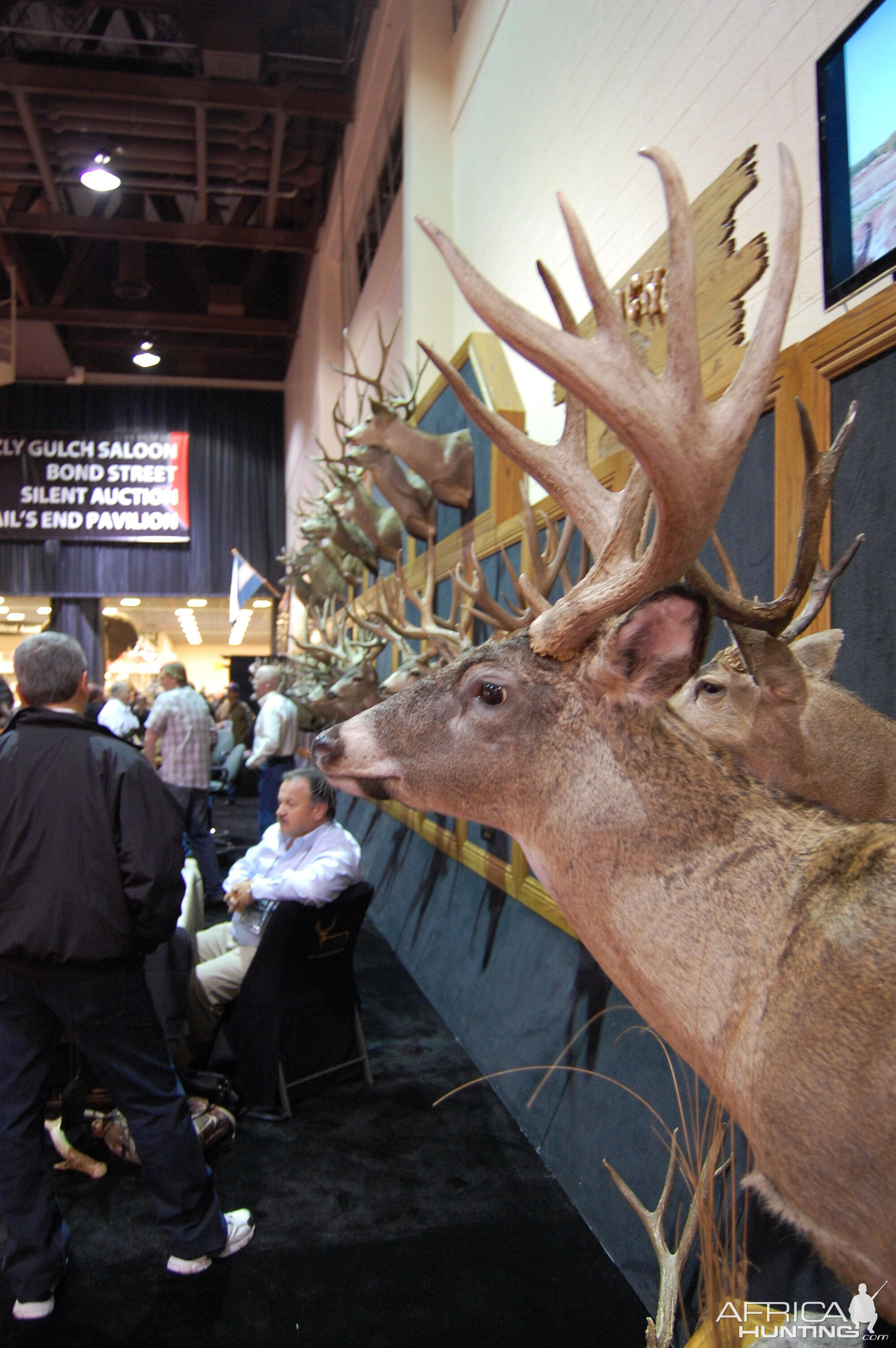 Taxidermy at Safari Club International Convention