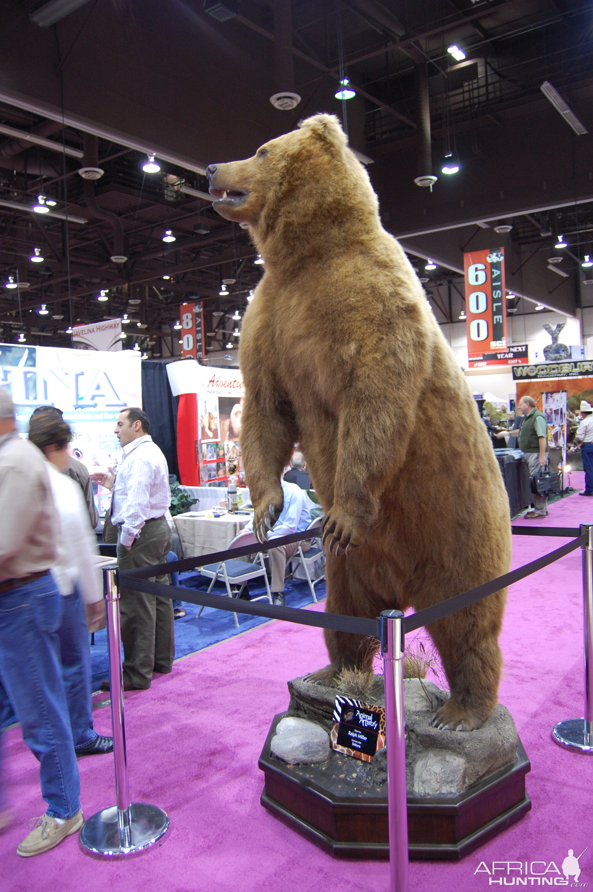 Taxidermy at Safari Club International Convention