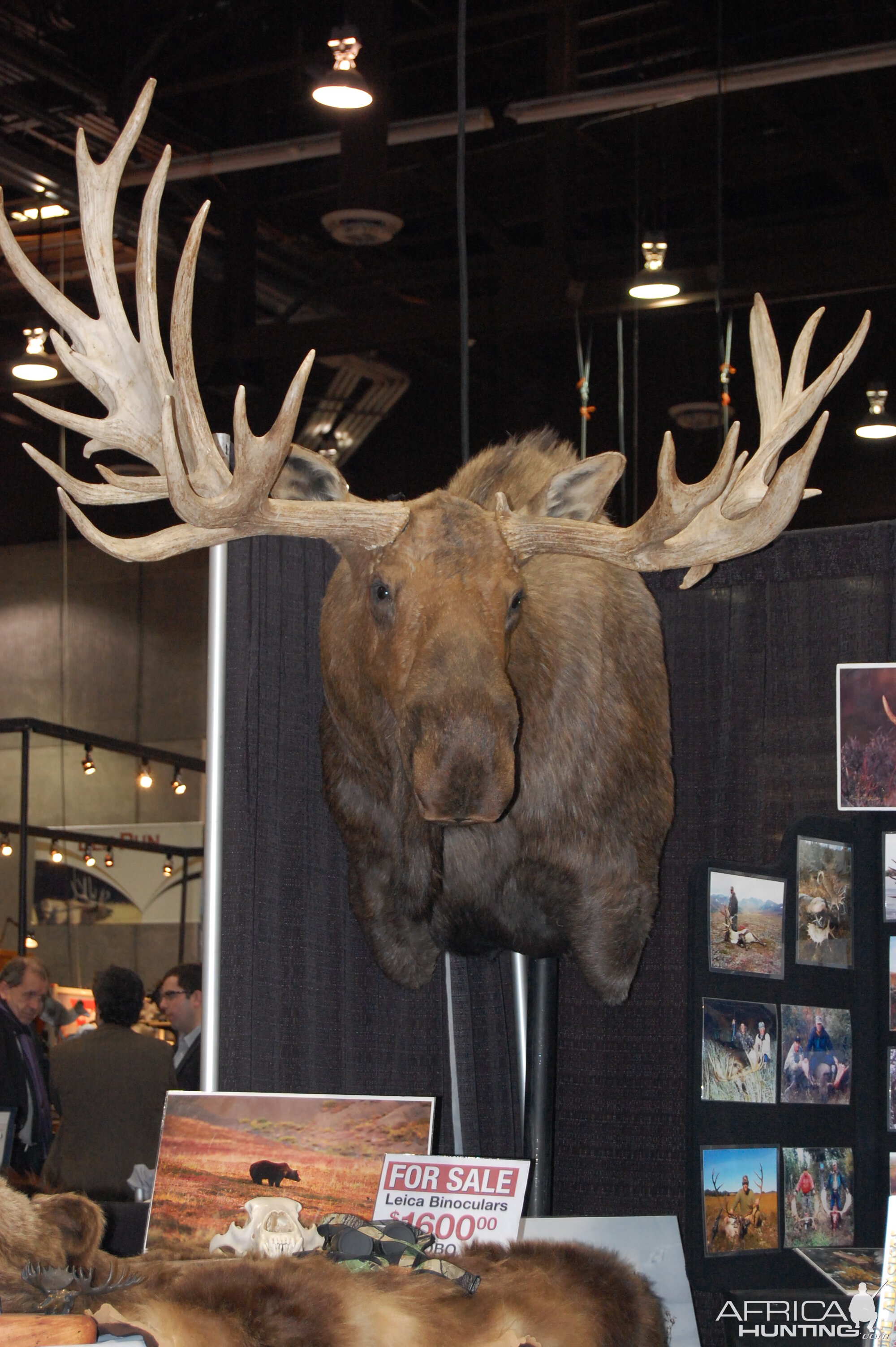 Taxidermy at Safari Club International Convention