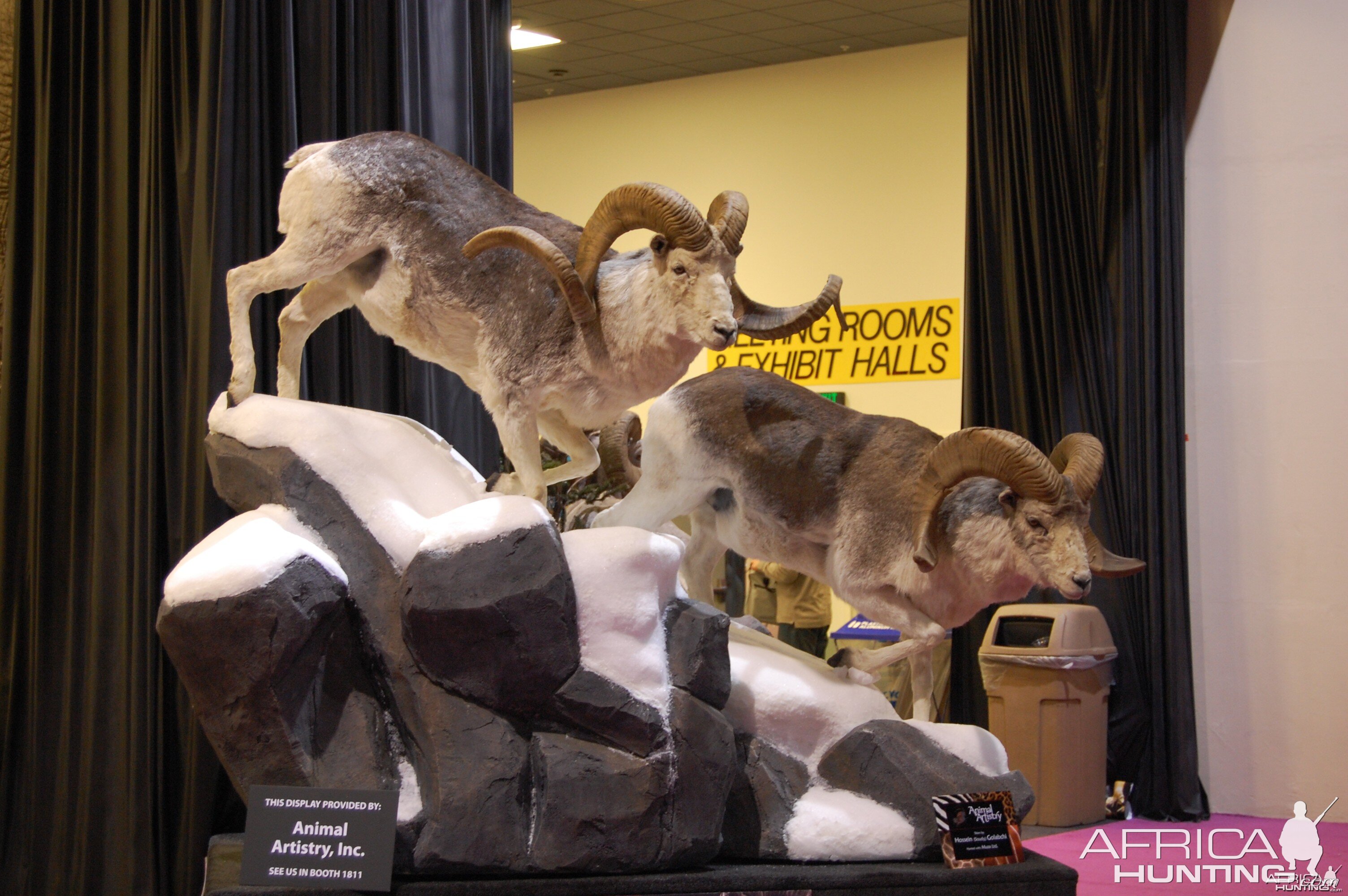 Taxidermy at Safari Club International Convention