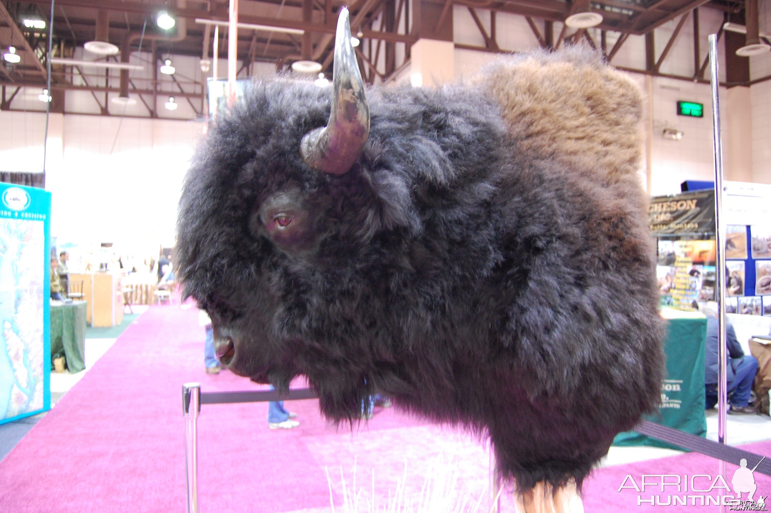 Taxidermy at Safari Club International Convention