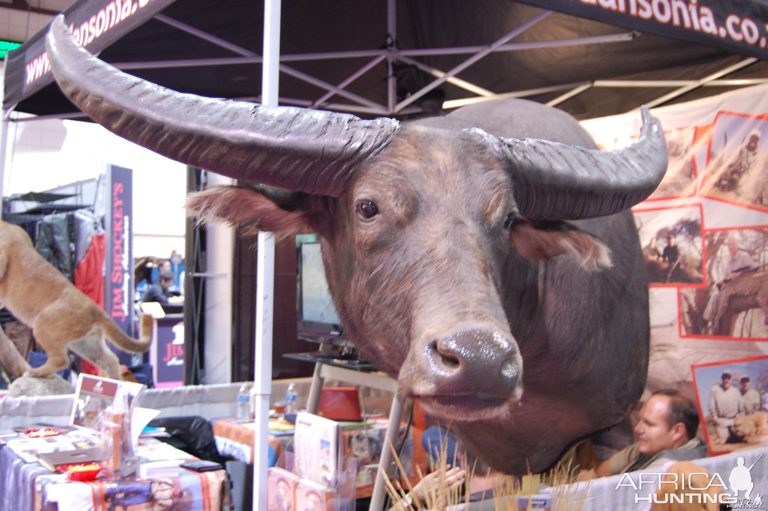 Taxidermy at Safari Club International Convention