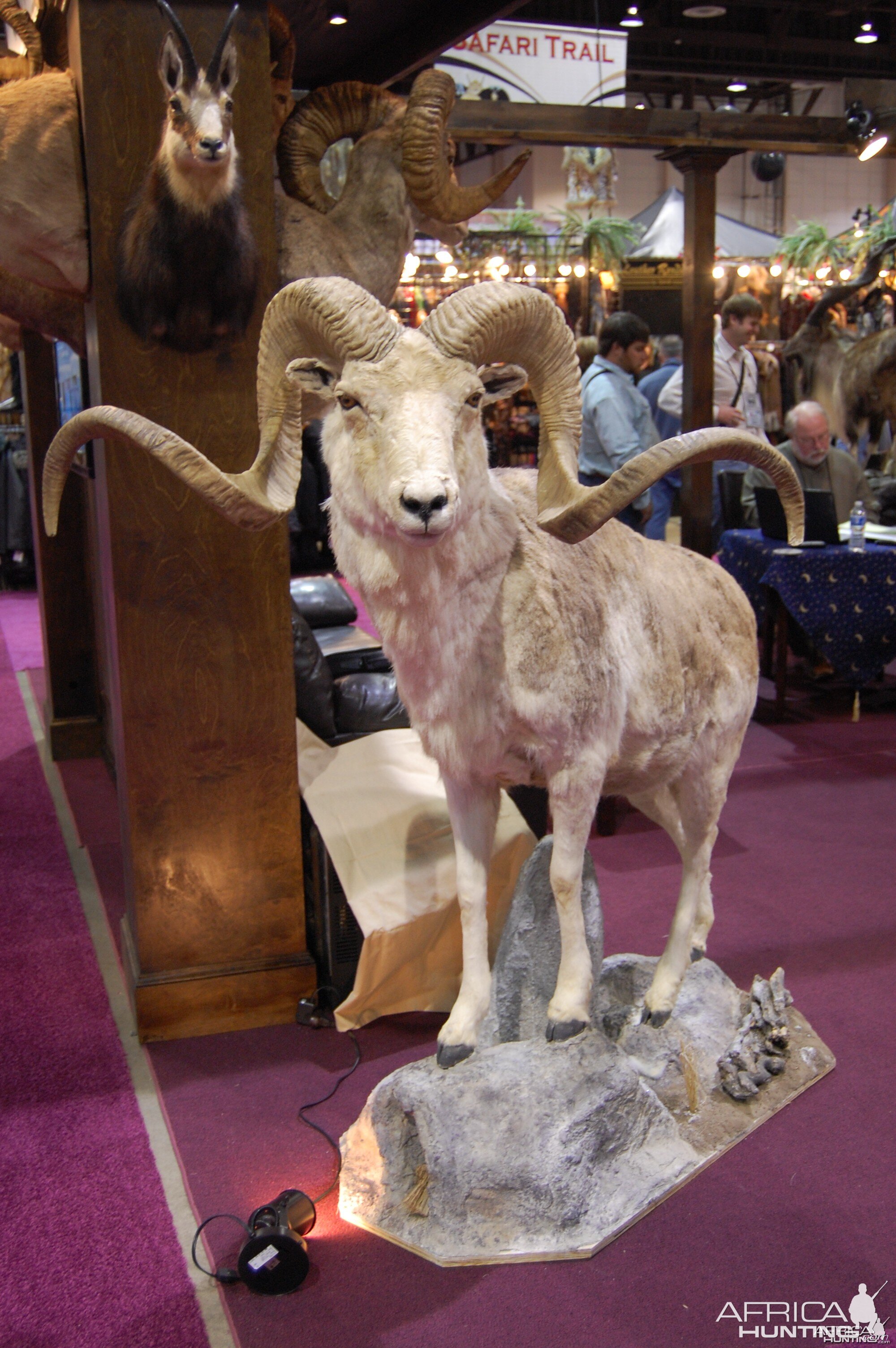 Taxidermy at Safari Club International Convention