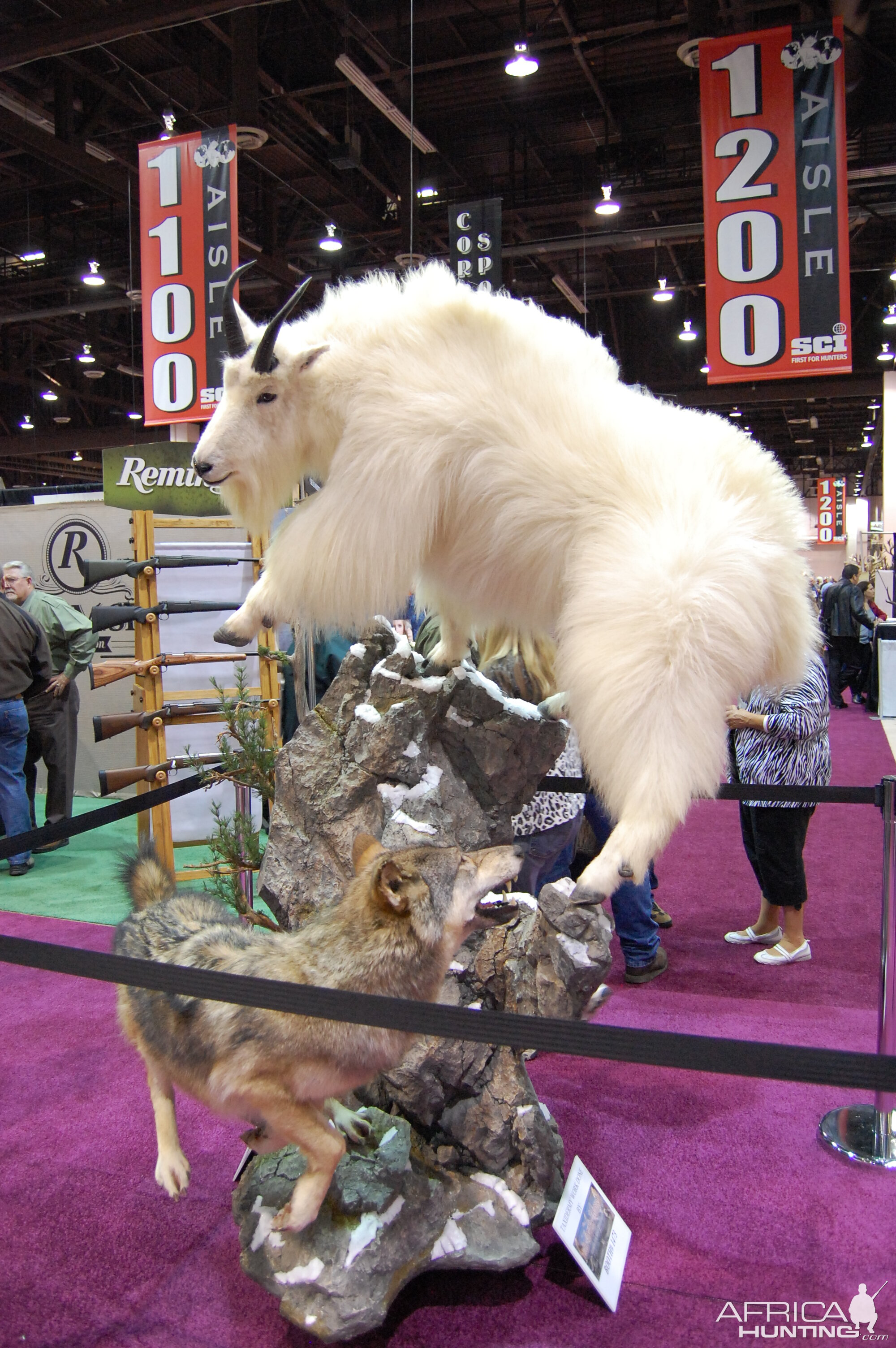 Taxidermy at Safari Club International Convention