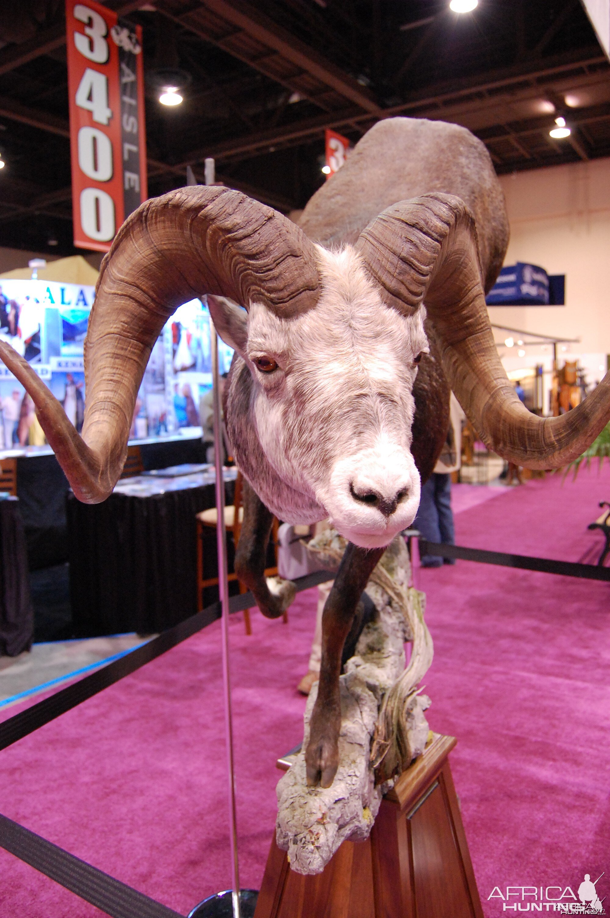 Taxidermy at Safari Club International Convention