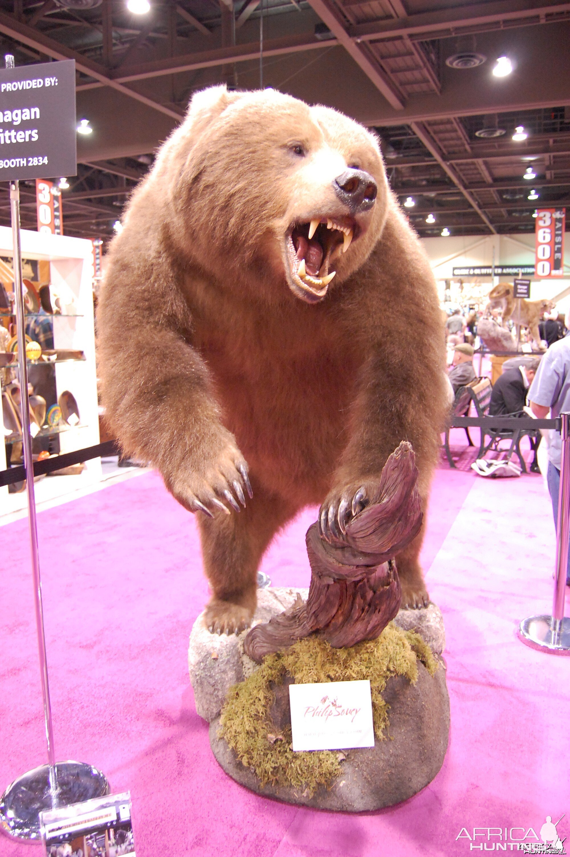 Taxidermy at Safari Club International Convention