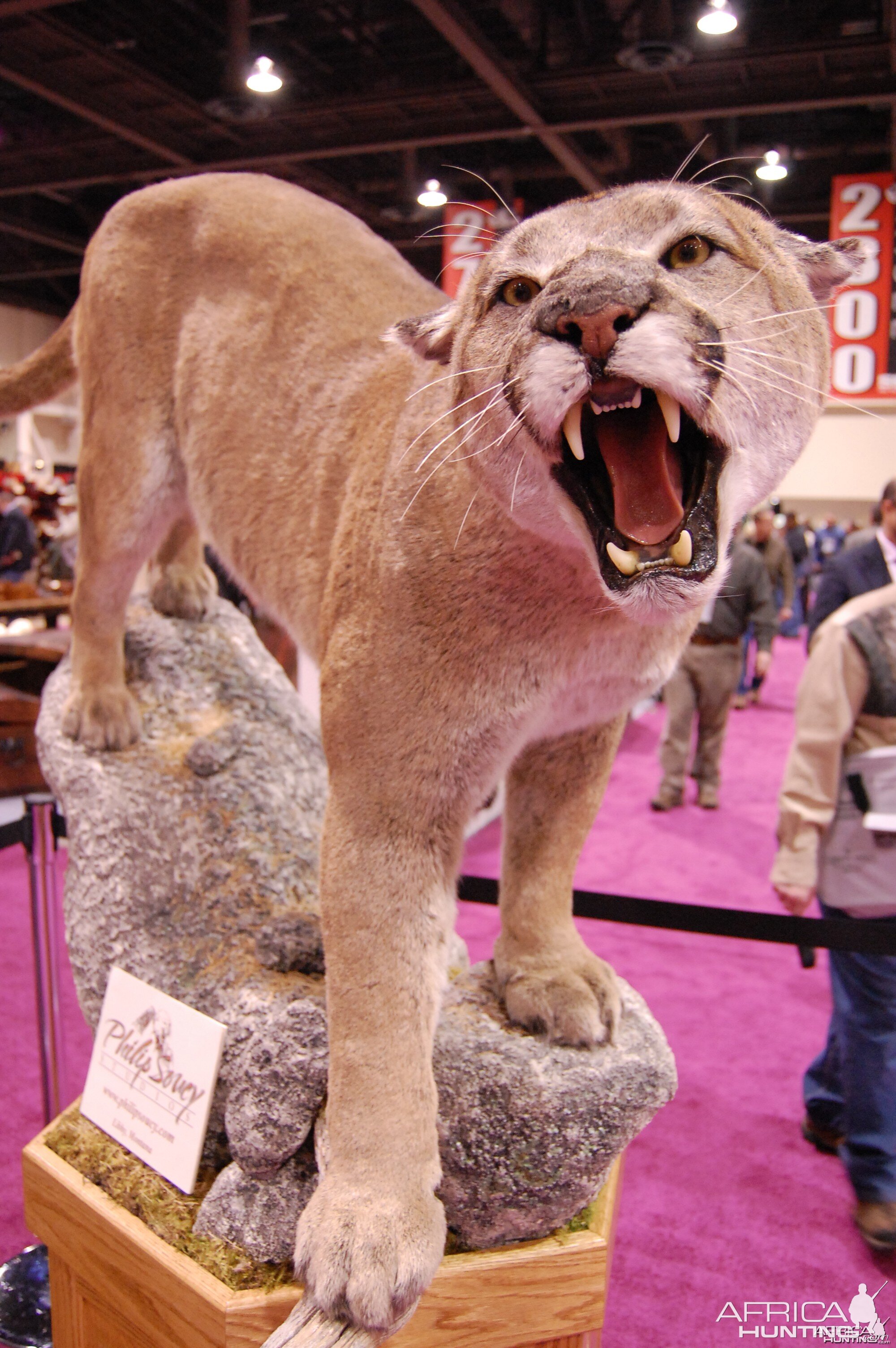 Taxidermy at Safari Club International Convention