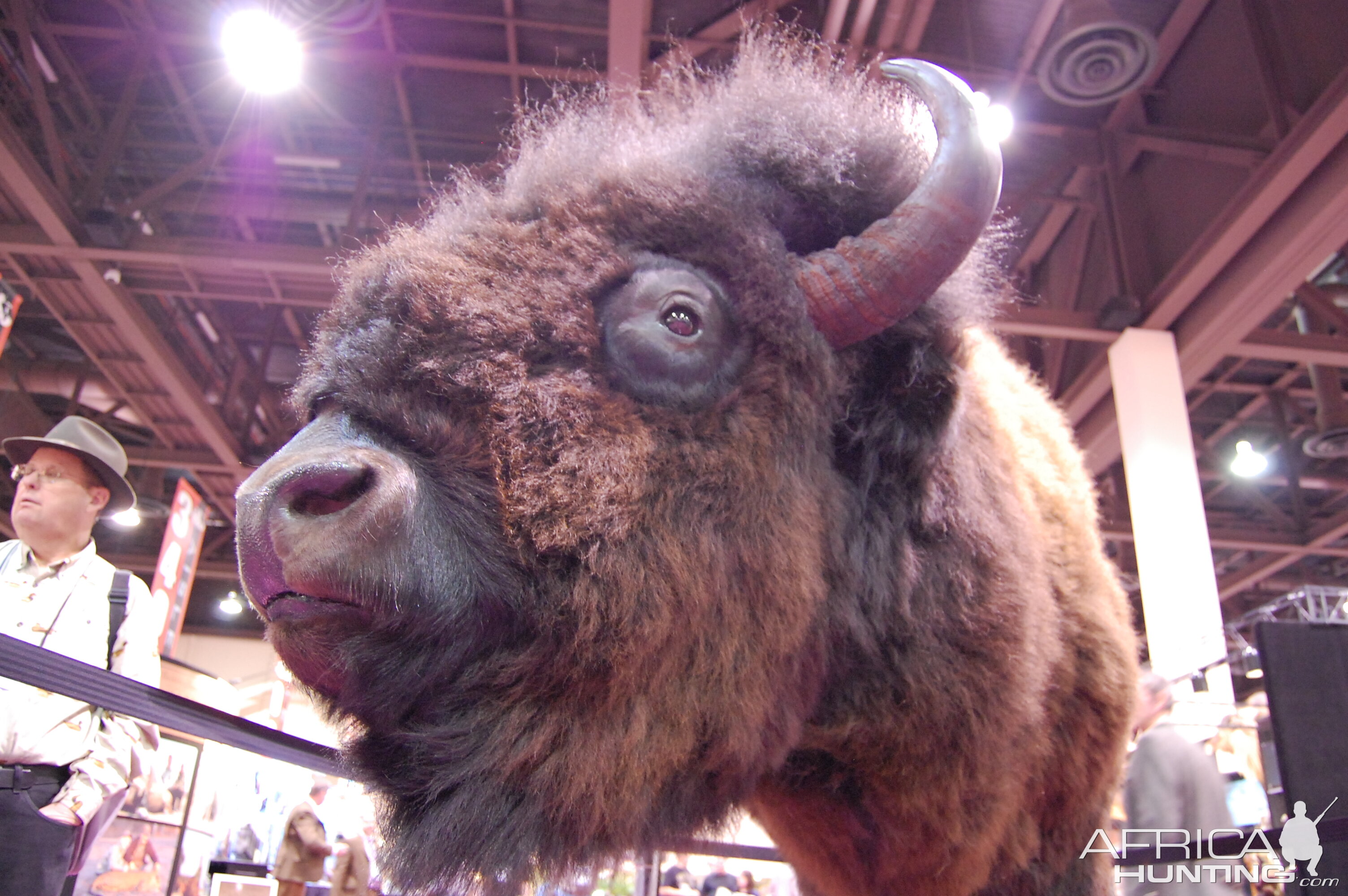 Taxidermy at Safari Club International Convention