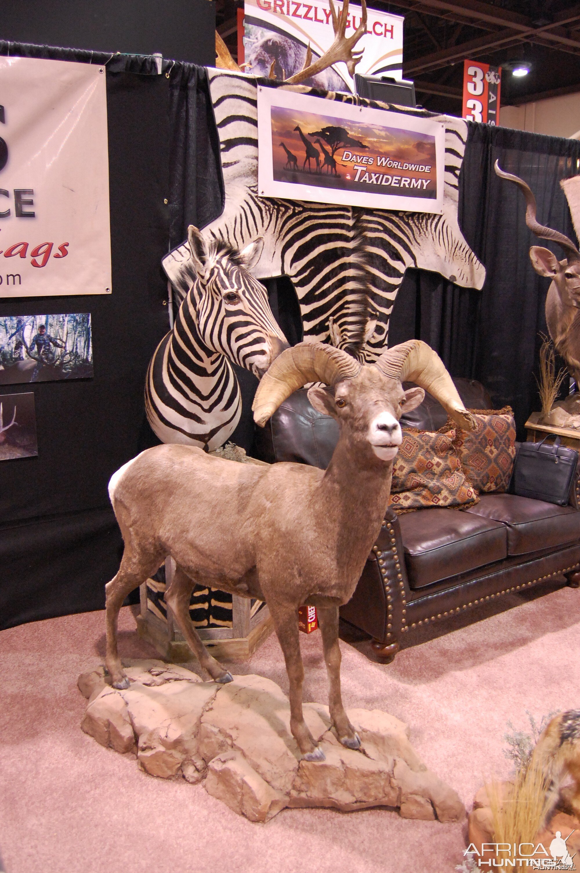 Taxidermy at Safari Club International Convention