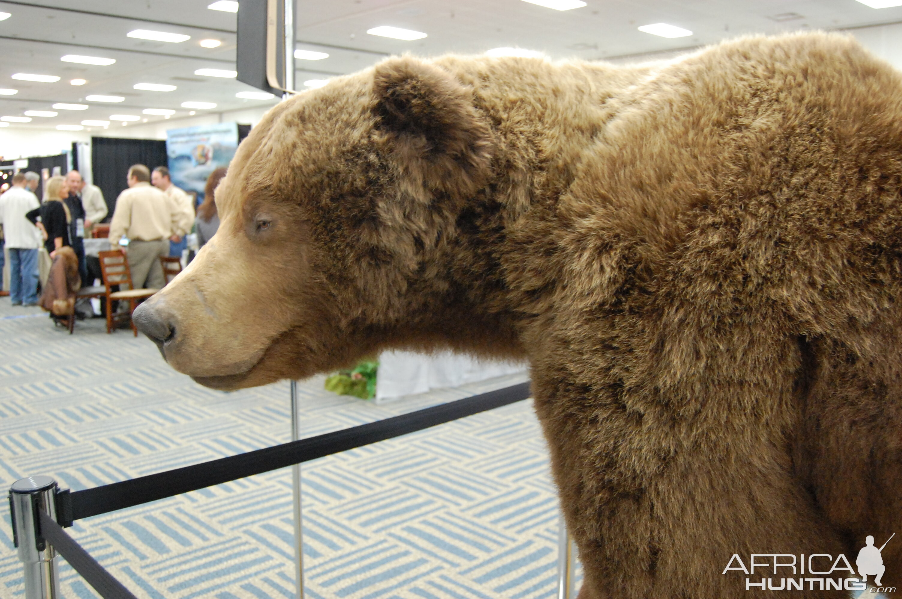 Taxidermy at Safari Club International Convention