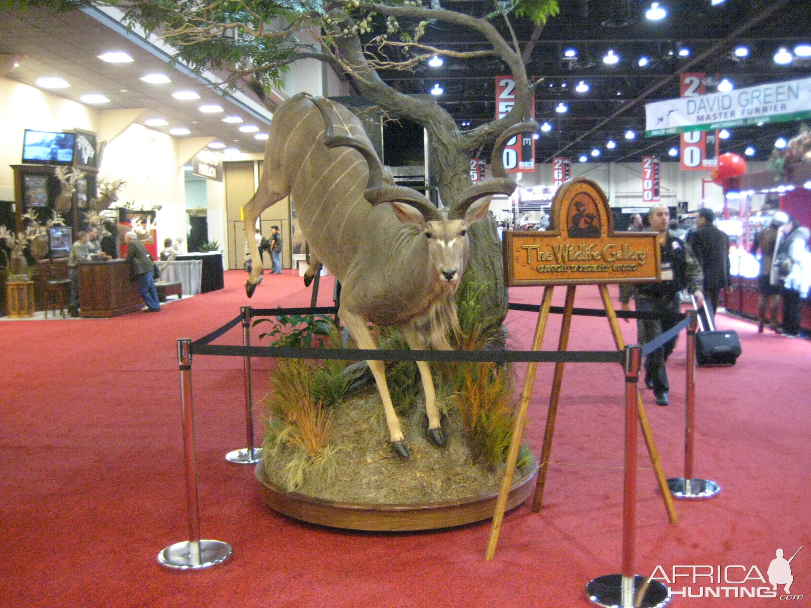 Taxidermy at Safari Club International Convention