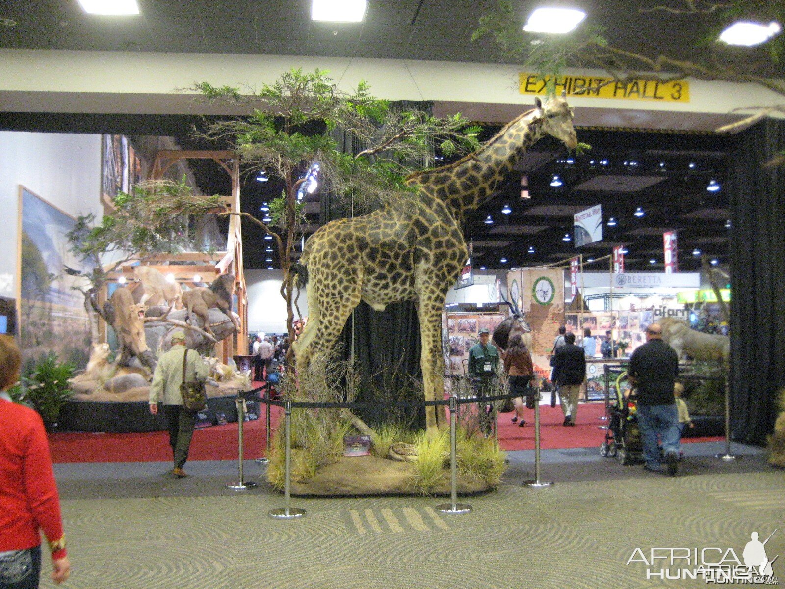 Taxidermy at Safari Club International Convention