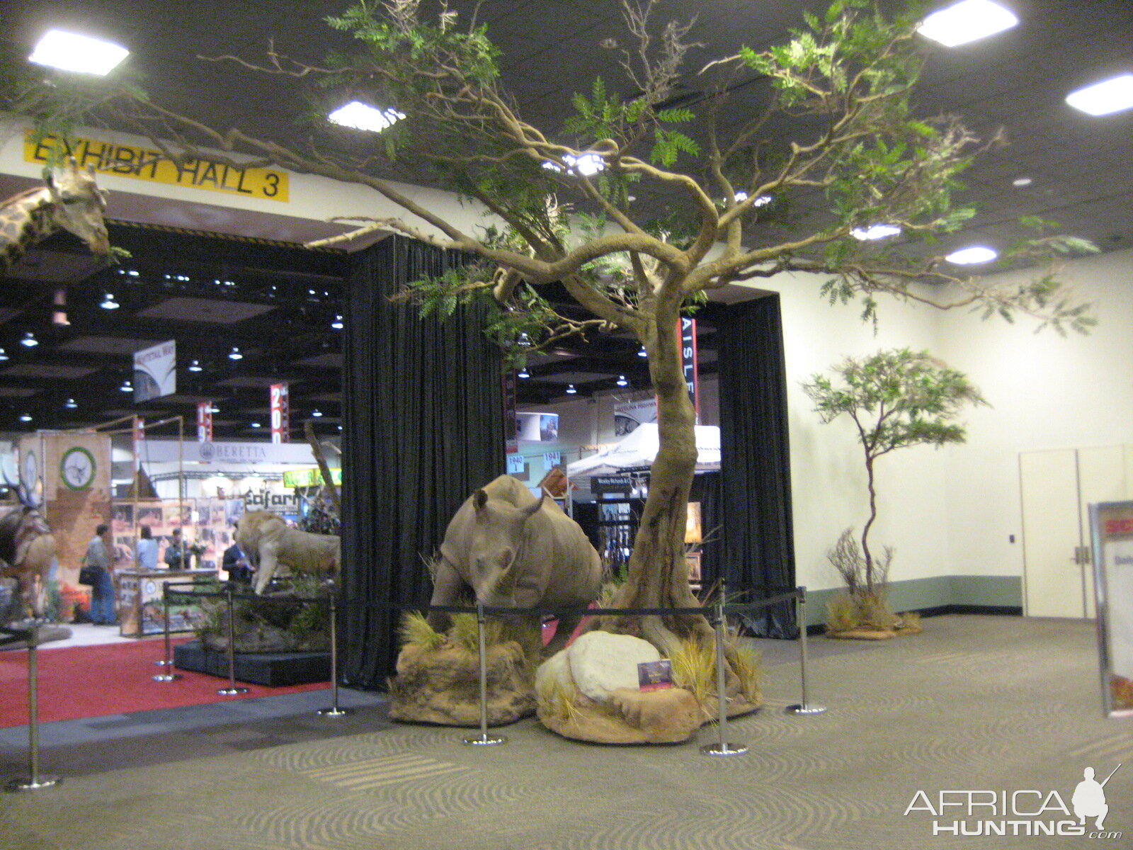 Taxidermy at Safari Club International Convention