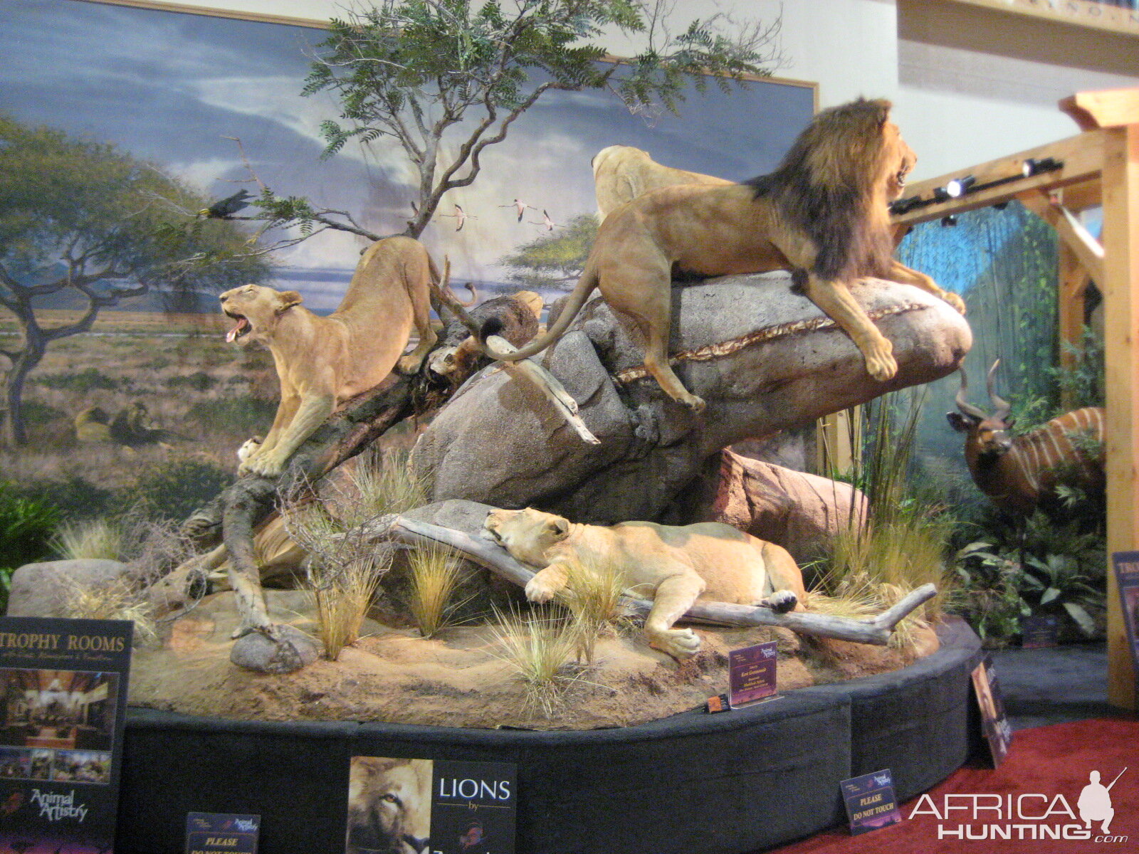 Taxidermy at Safari Club International Convention