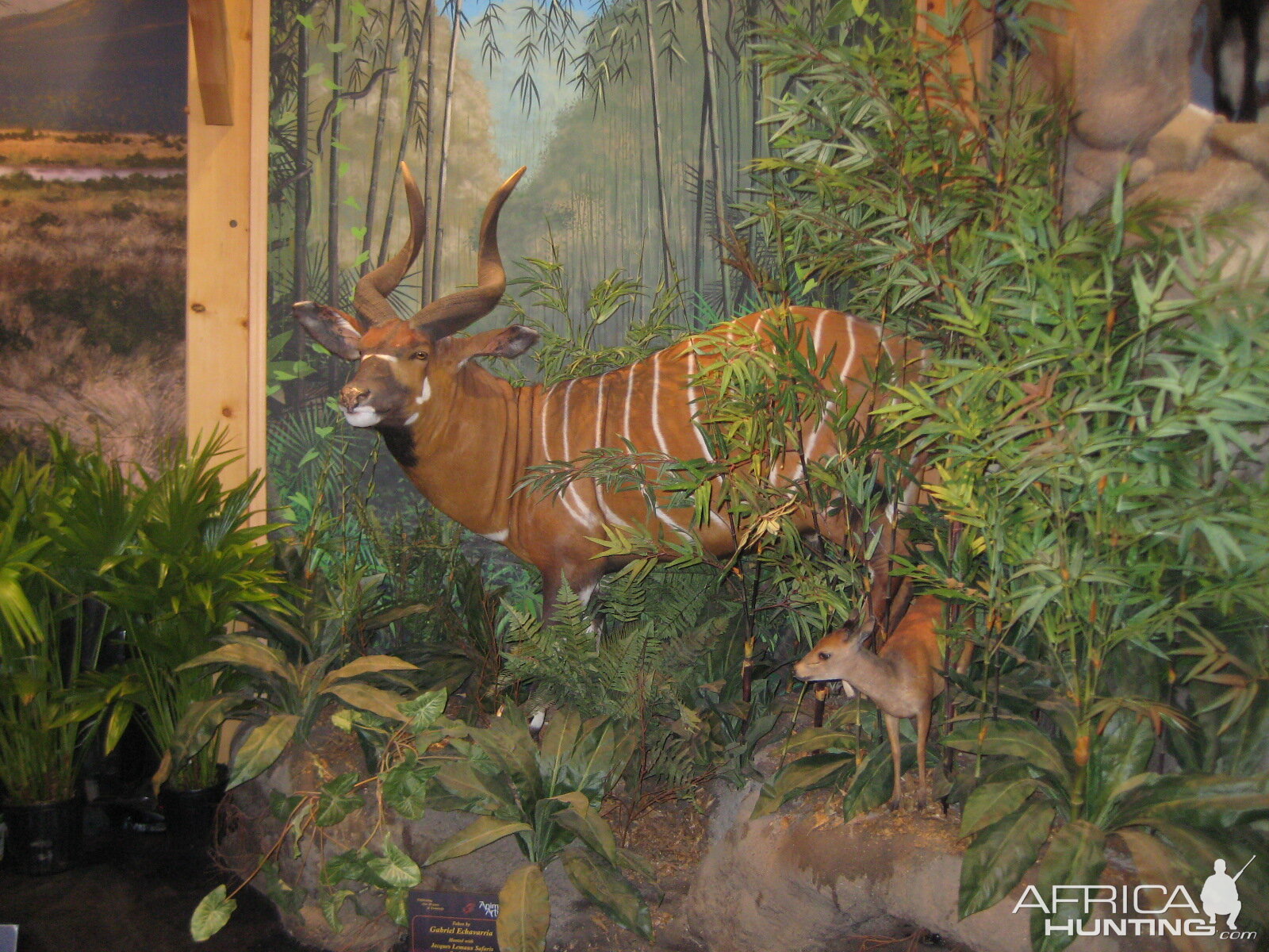 Taxidermy at Safari Club International Convention