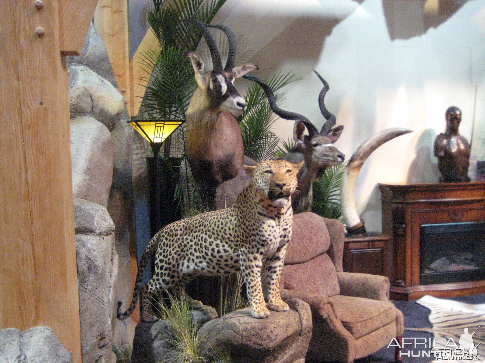 Taxidermy at Safari Club International Convention