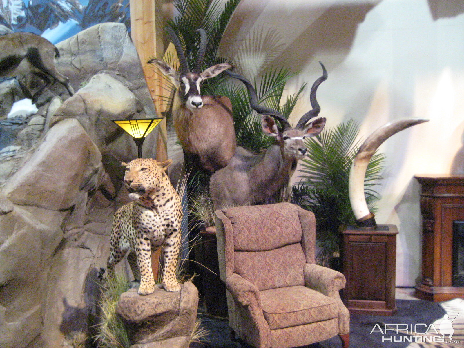 Taxidermy at Safari Club International Convention