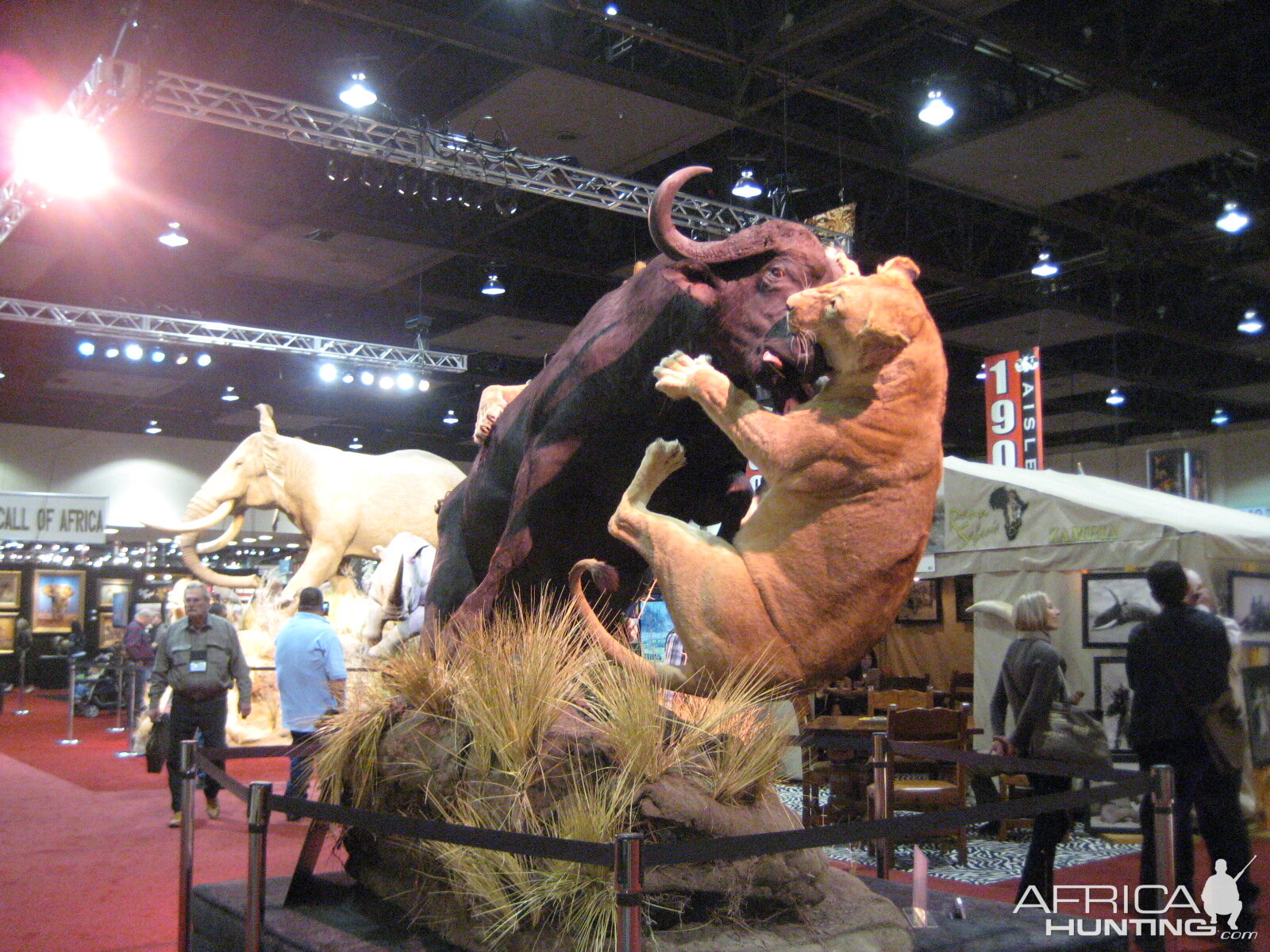 Taxidermy at Safari Club International Convention