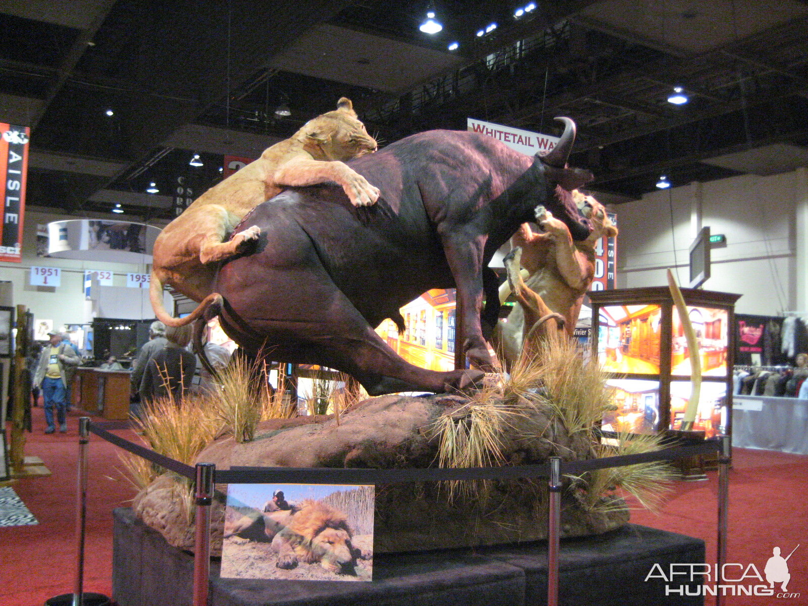 Taxidermy at Safari Club International Convention