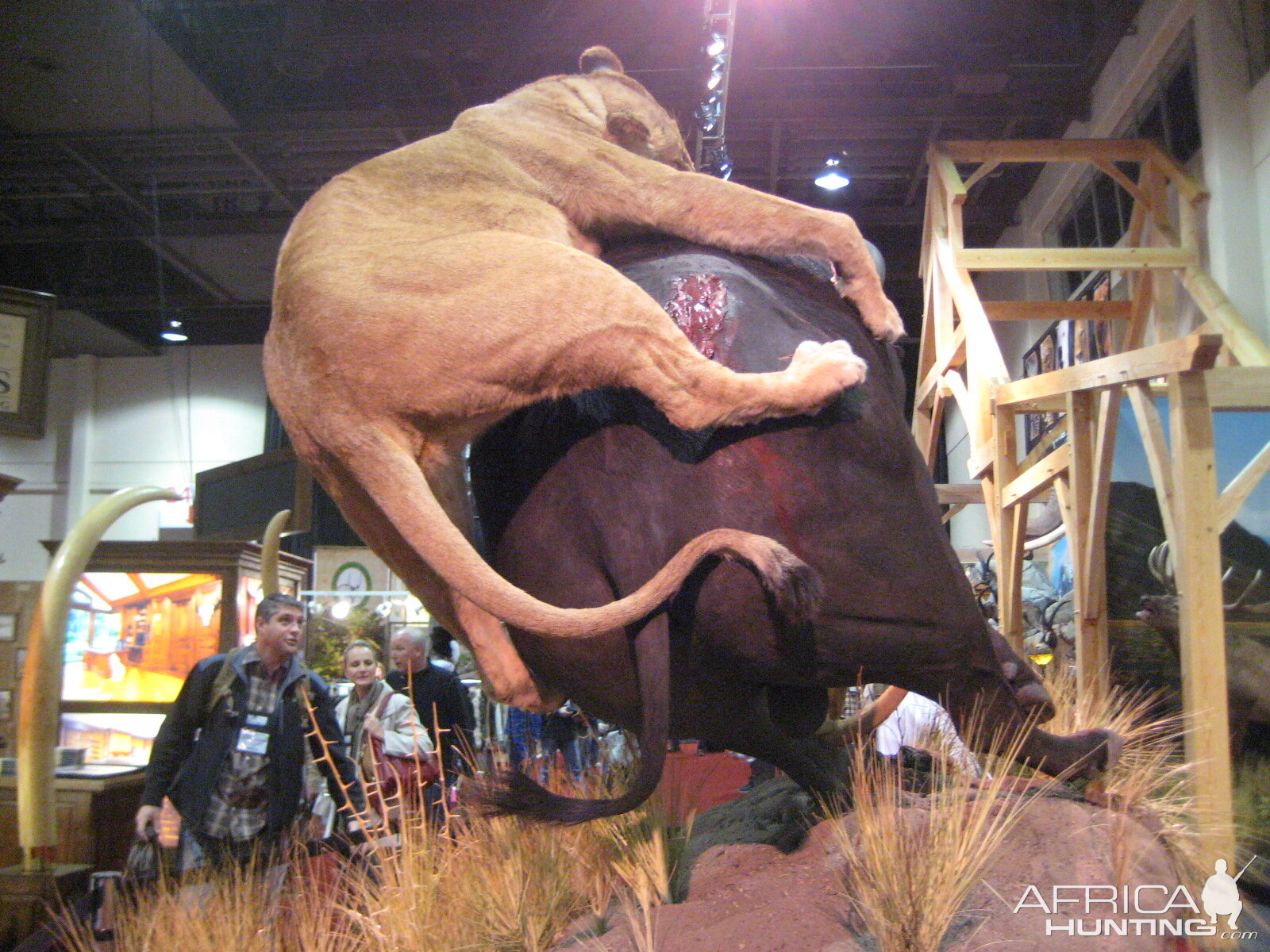 Taxidermy at Safari Club International Convention