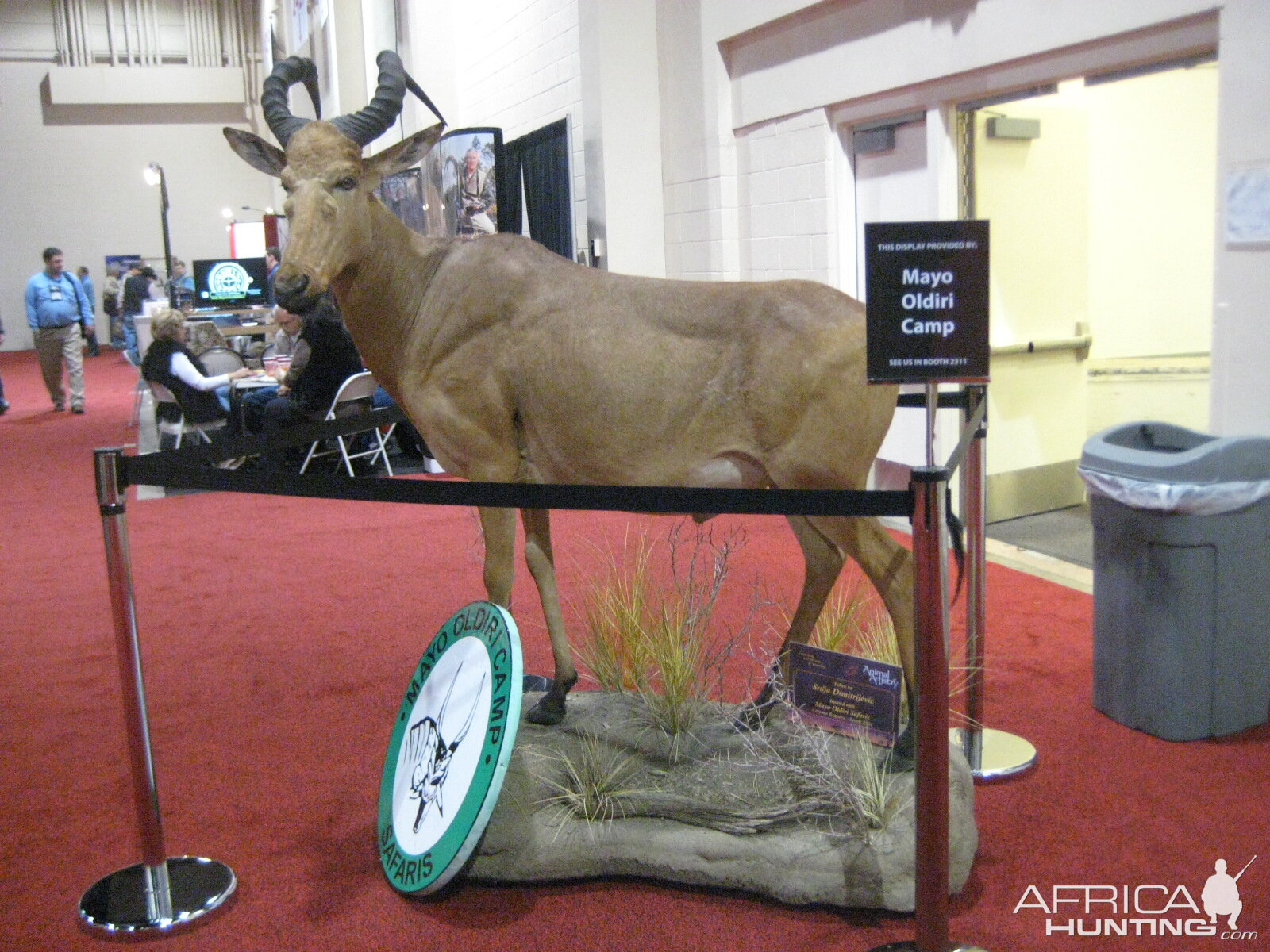 Taxidermy at Safari Club International Convention