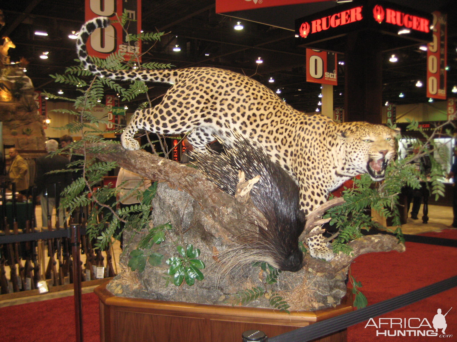 Taxidermy at Safari Club International Convention