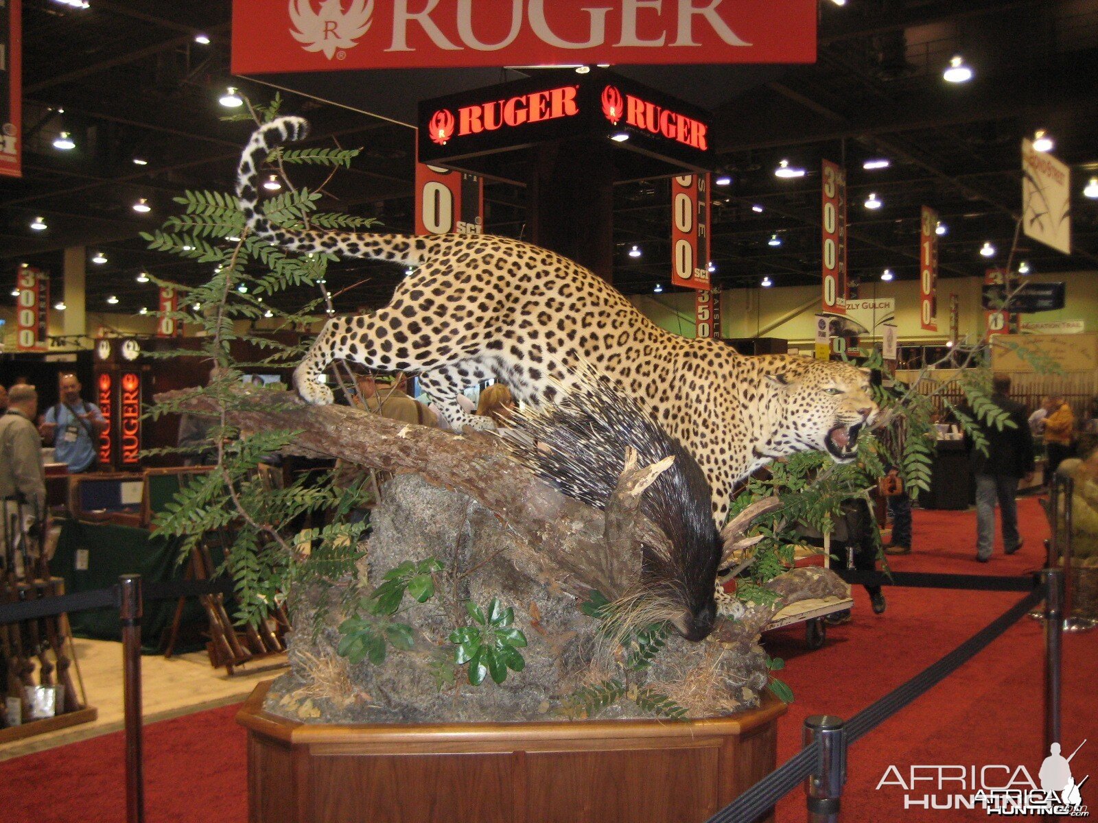 Taxidermy at Safari Club International Convention