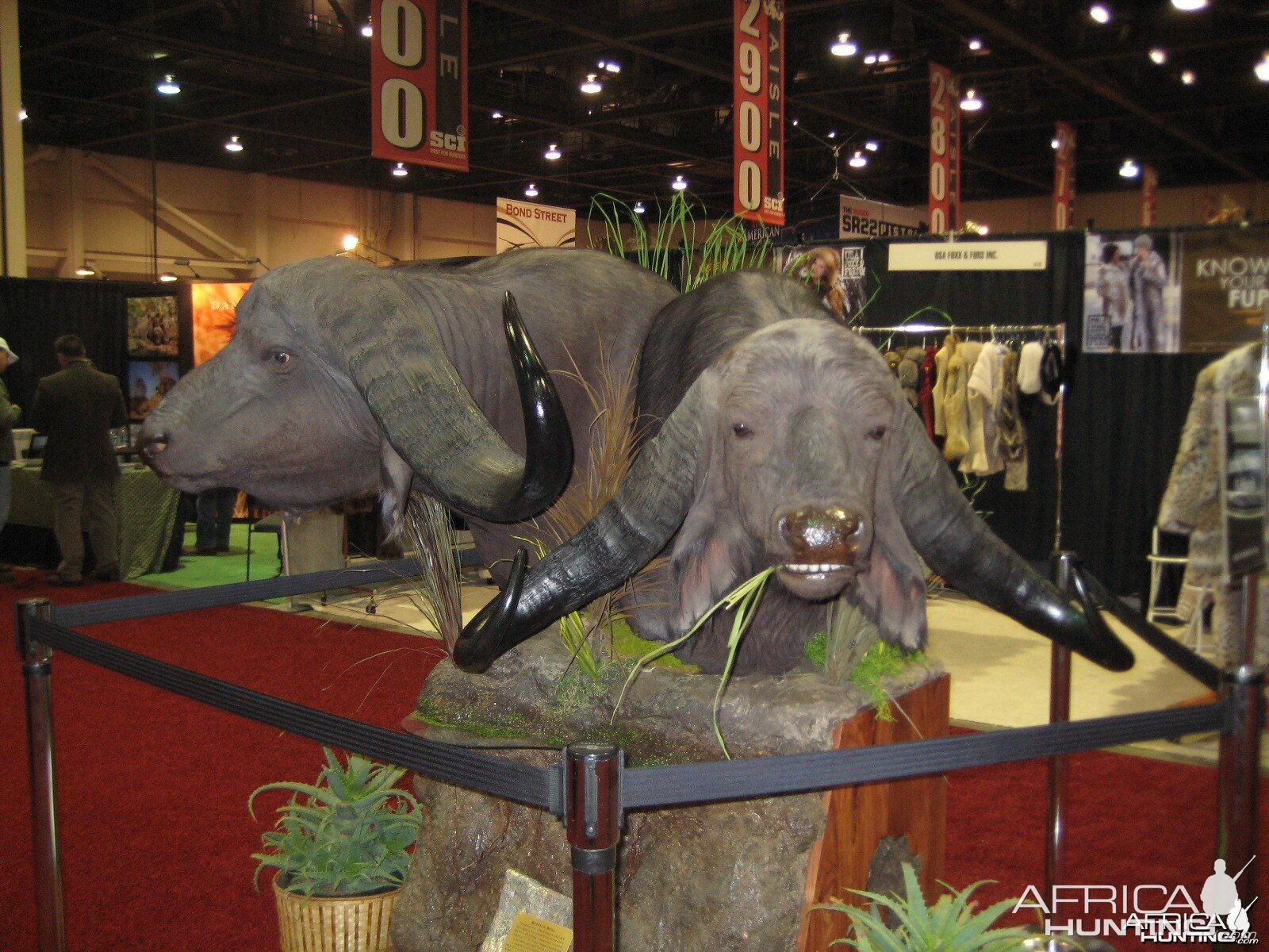 Taxidermy at Safari Club International Convention