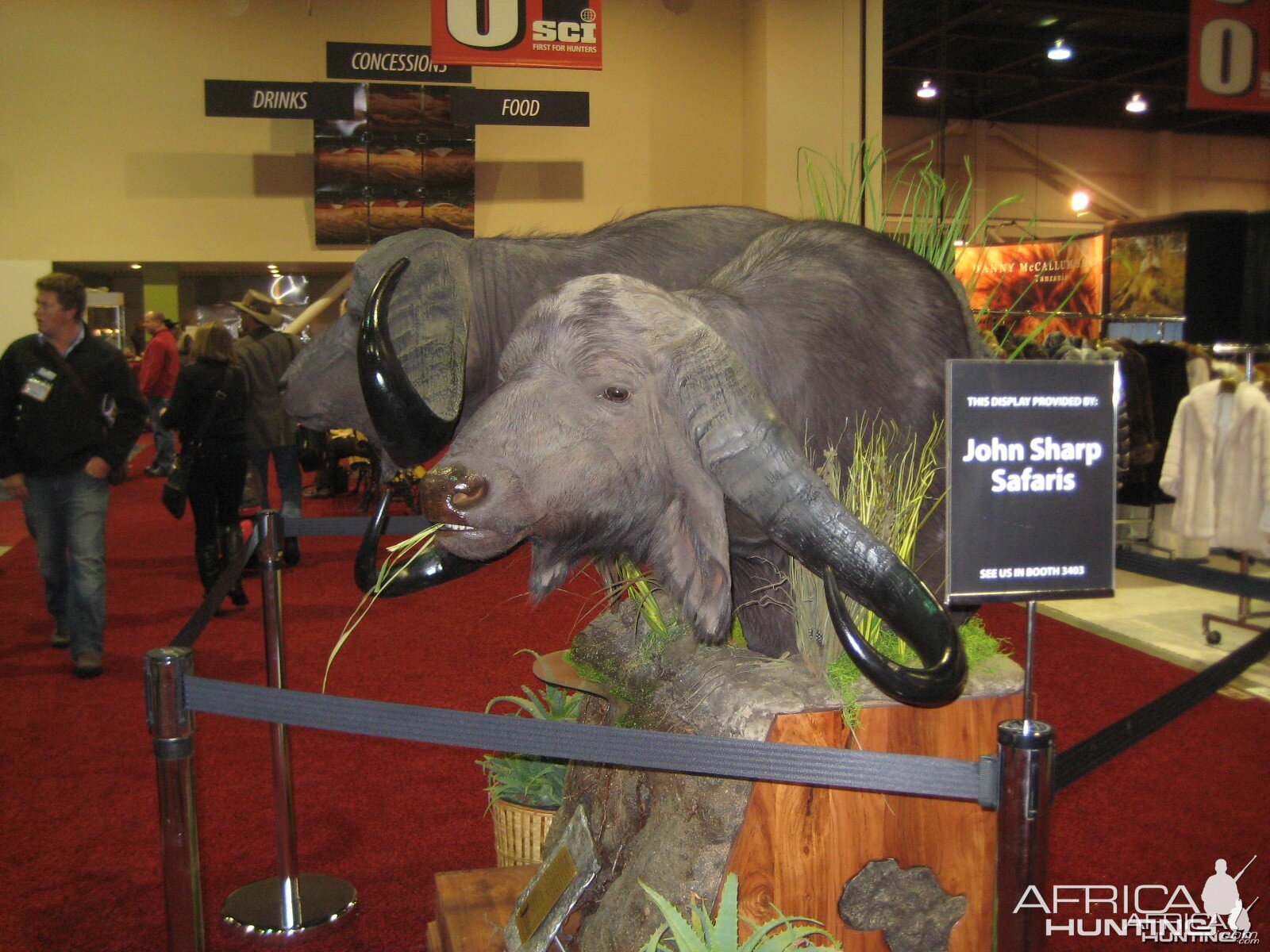 Taxidermy at Safari Club International Convention