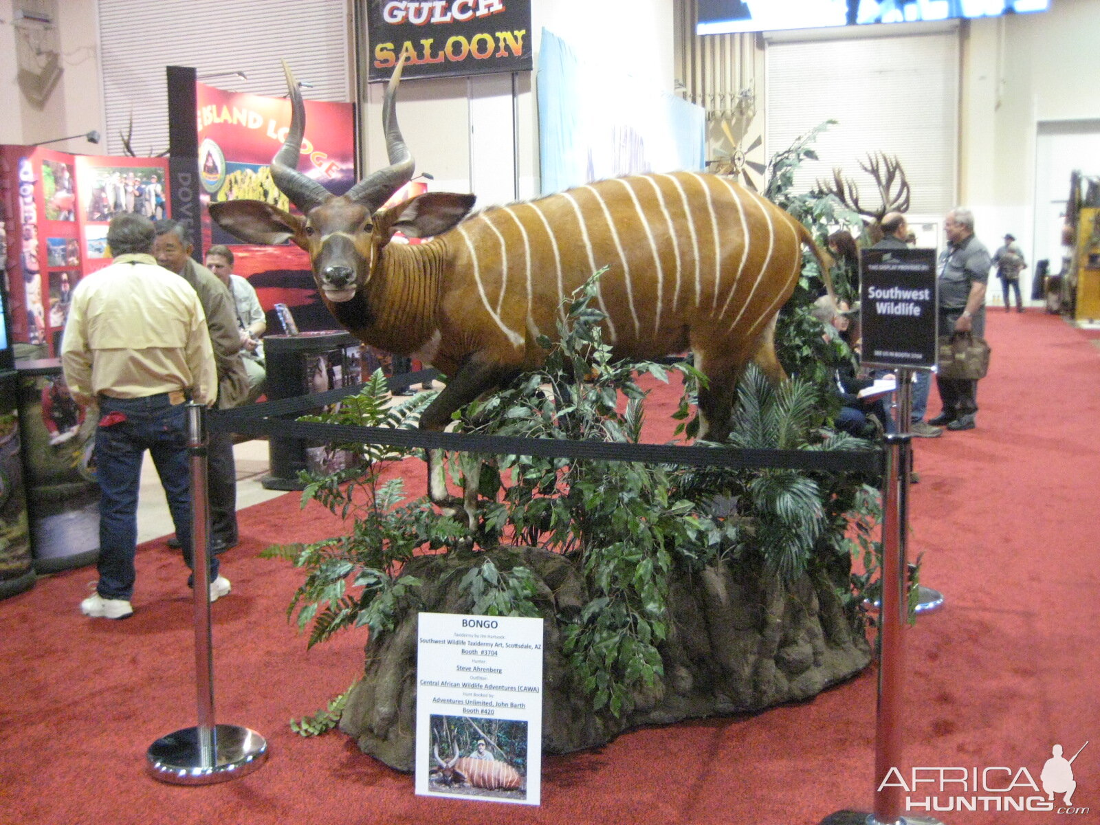 Taxidermy at Safari Club International Convention