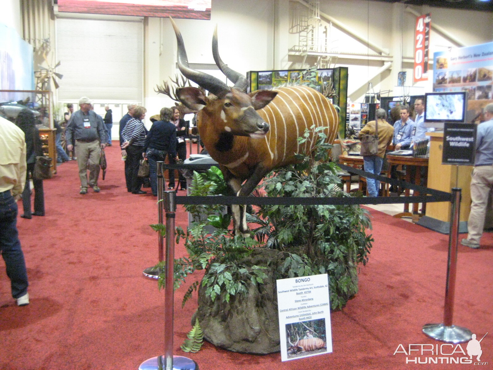 Taxidermy at Safari Club International Convention