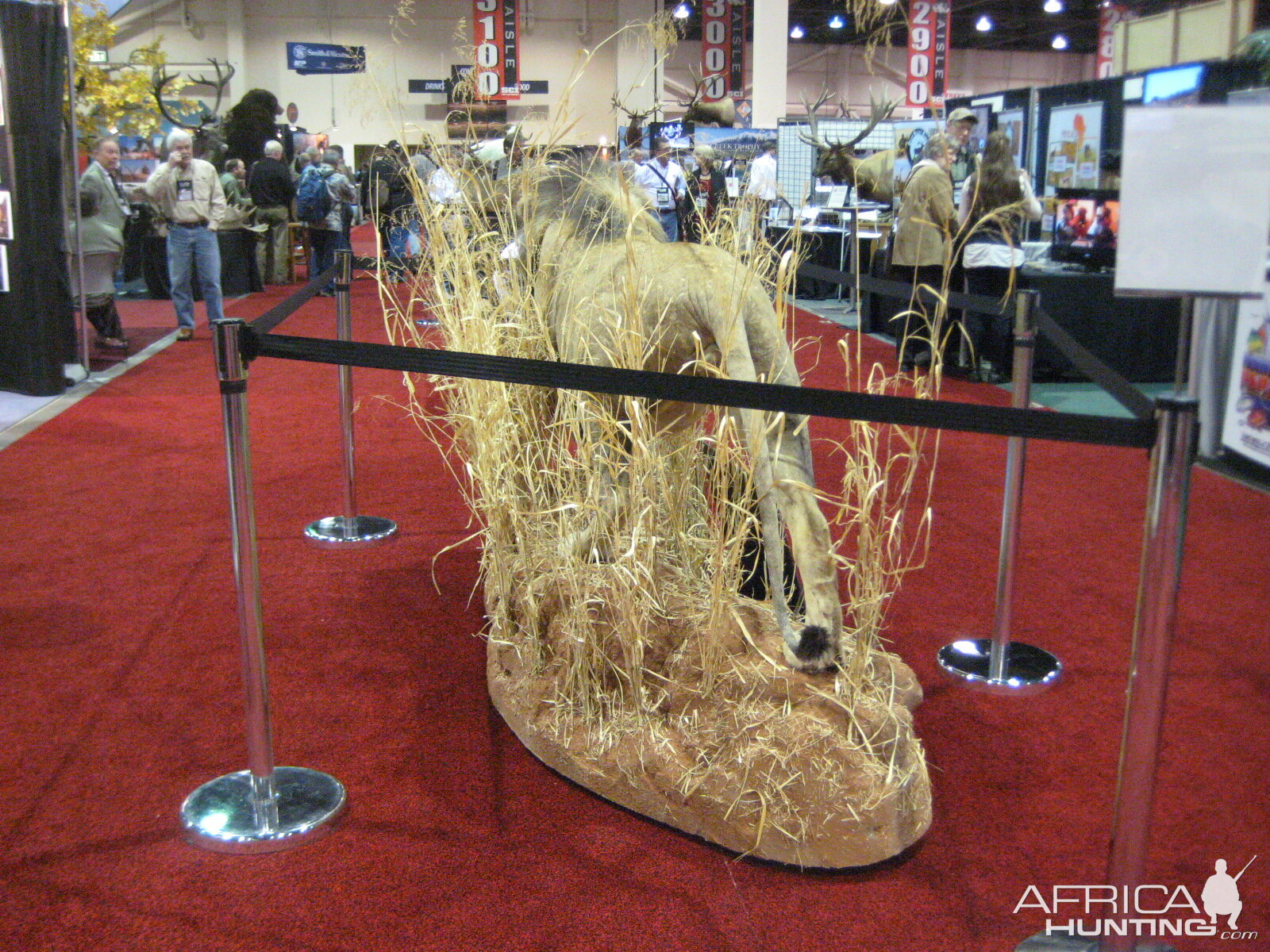 Taxidermy at Safari Club International Convention