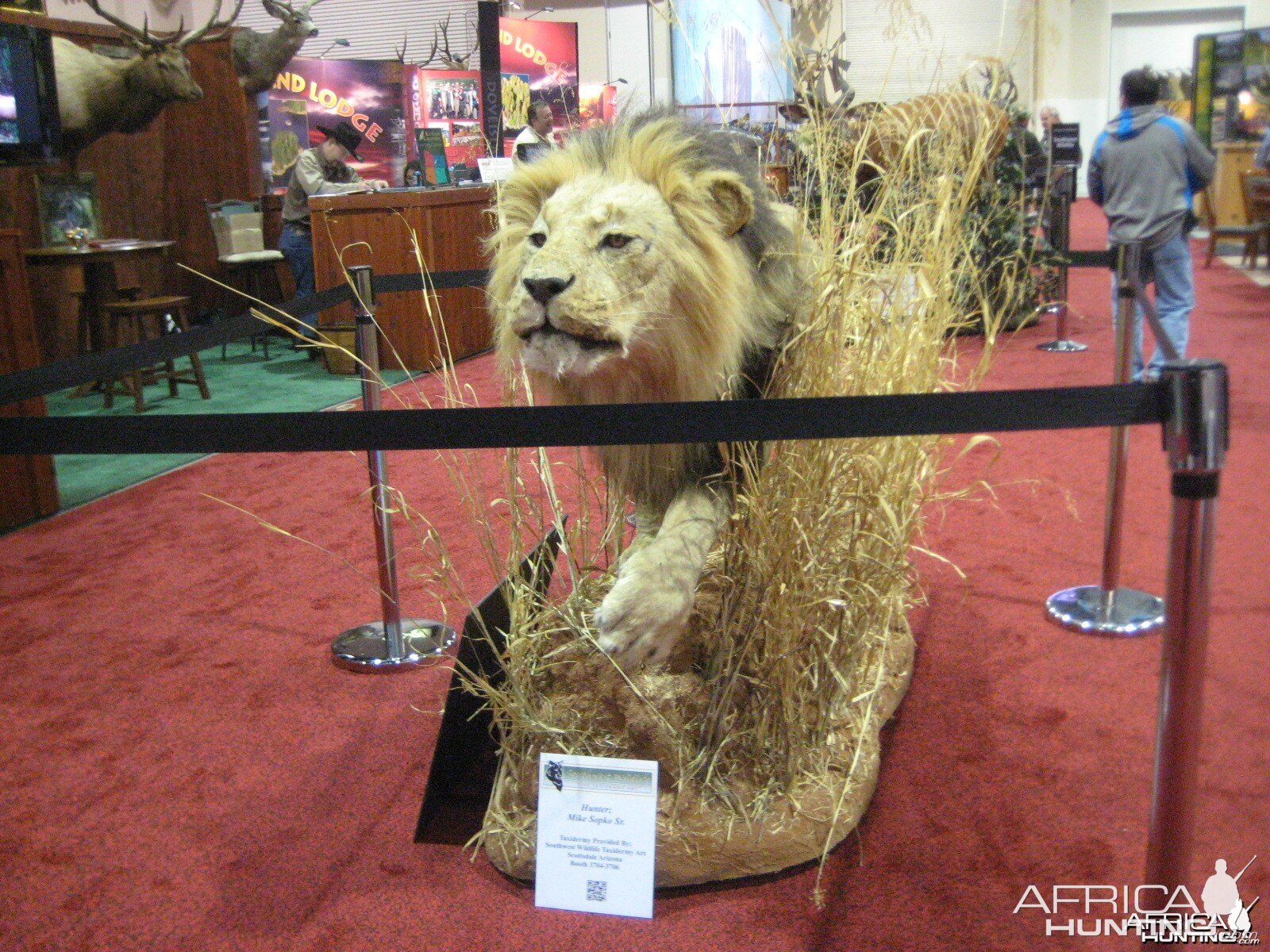 Taxidermy at Safari Club International Convention