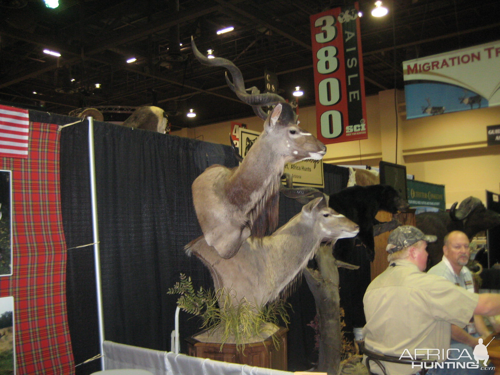 Taxidermy at Safari Club International Convention