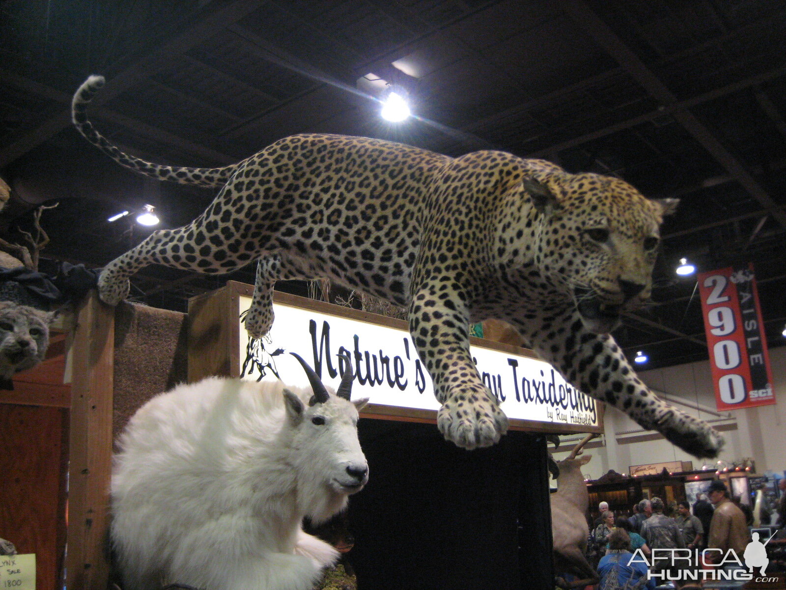 Taxidermy at Safari Club International Convention