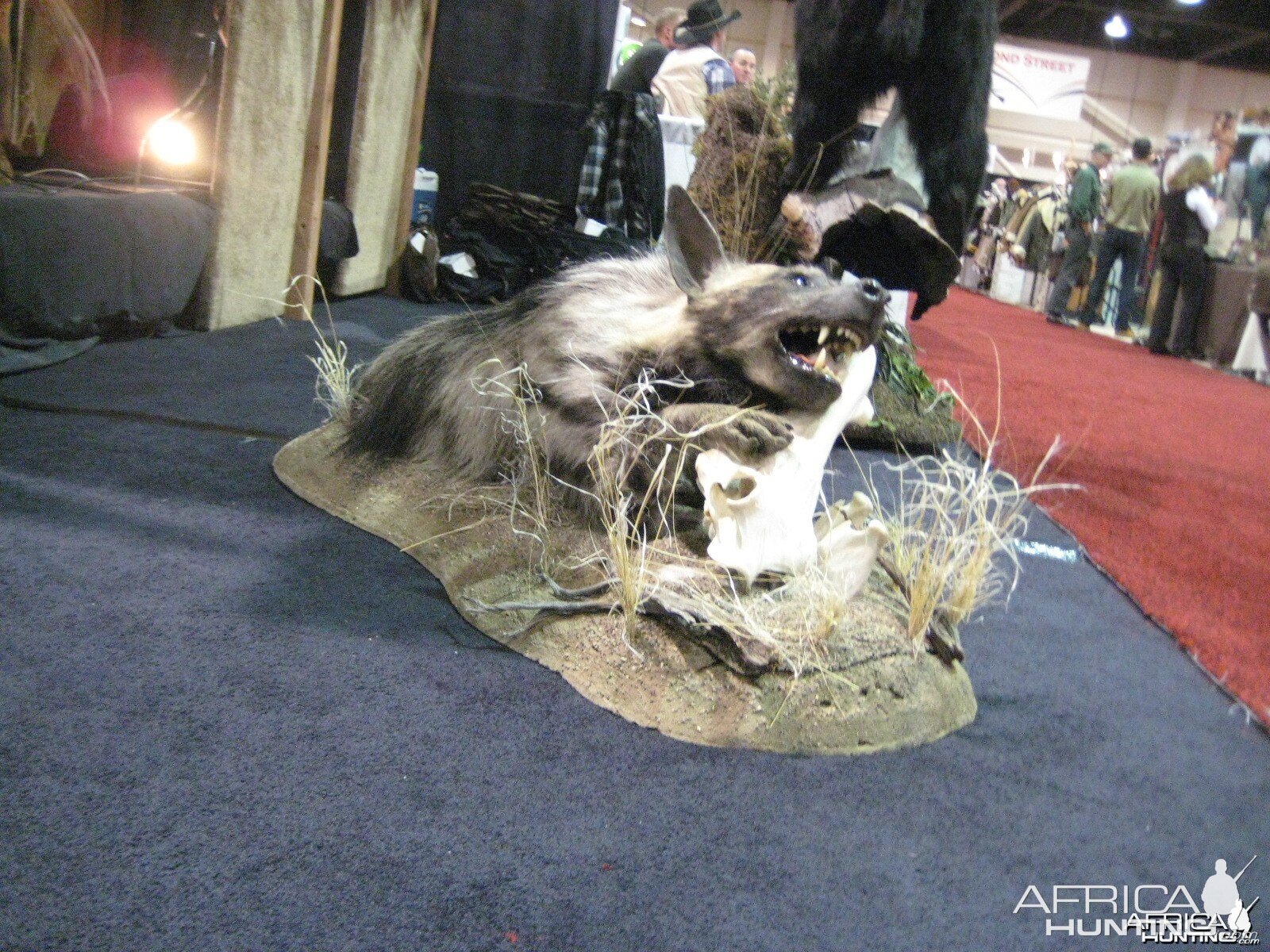 Taxidermy at Safari Club International Convention