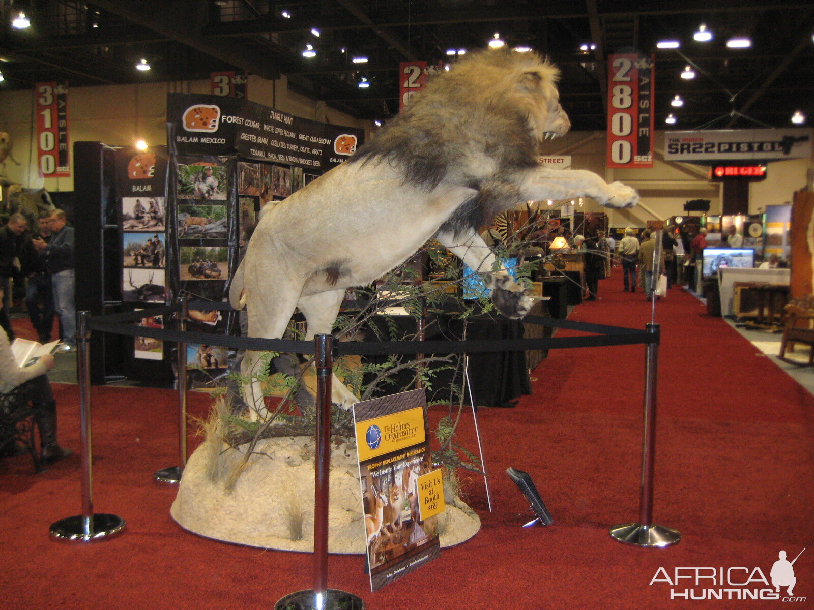 Taxidermy at Safari Club International Convention