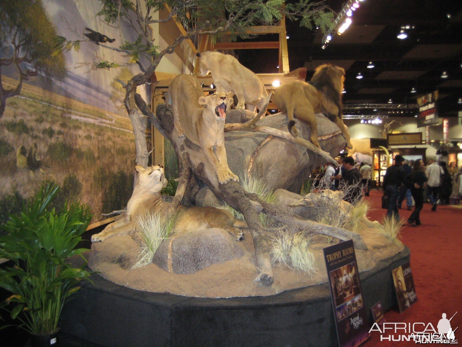 Taxidermy at Safari Club International Convention