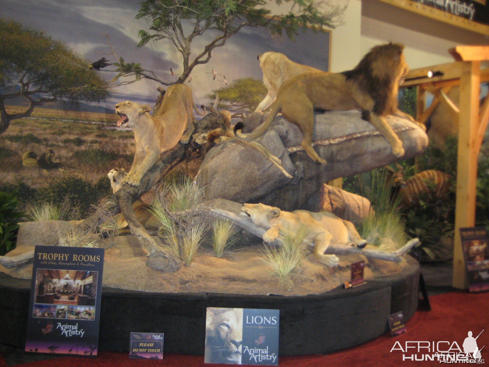 Taxidermy at Safari Club International Convention