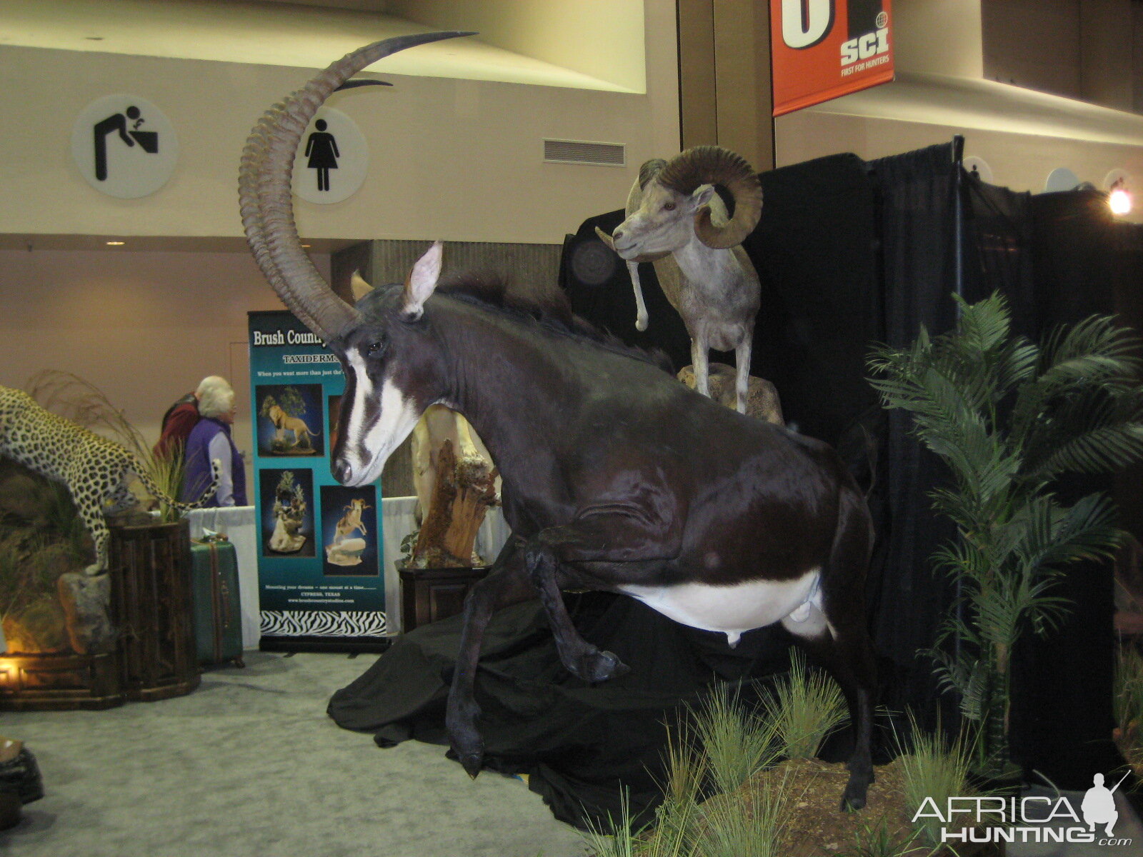 Taxidermy at Safari Club International Convention