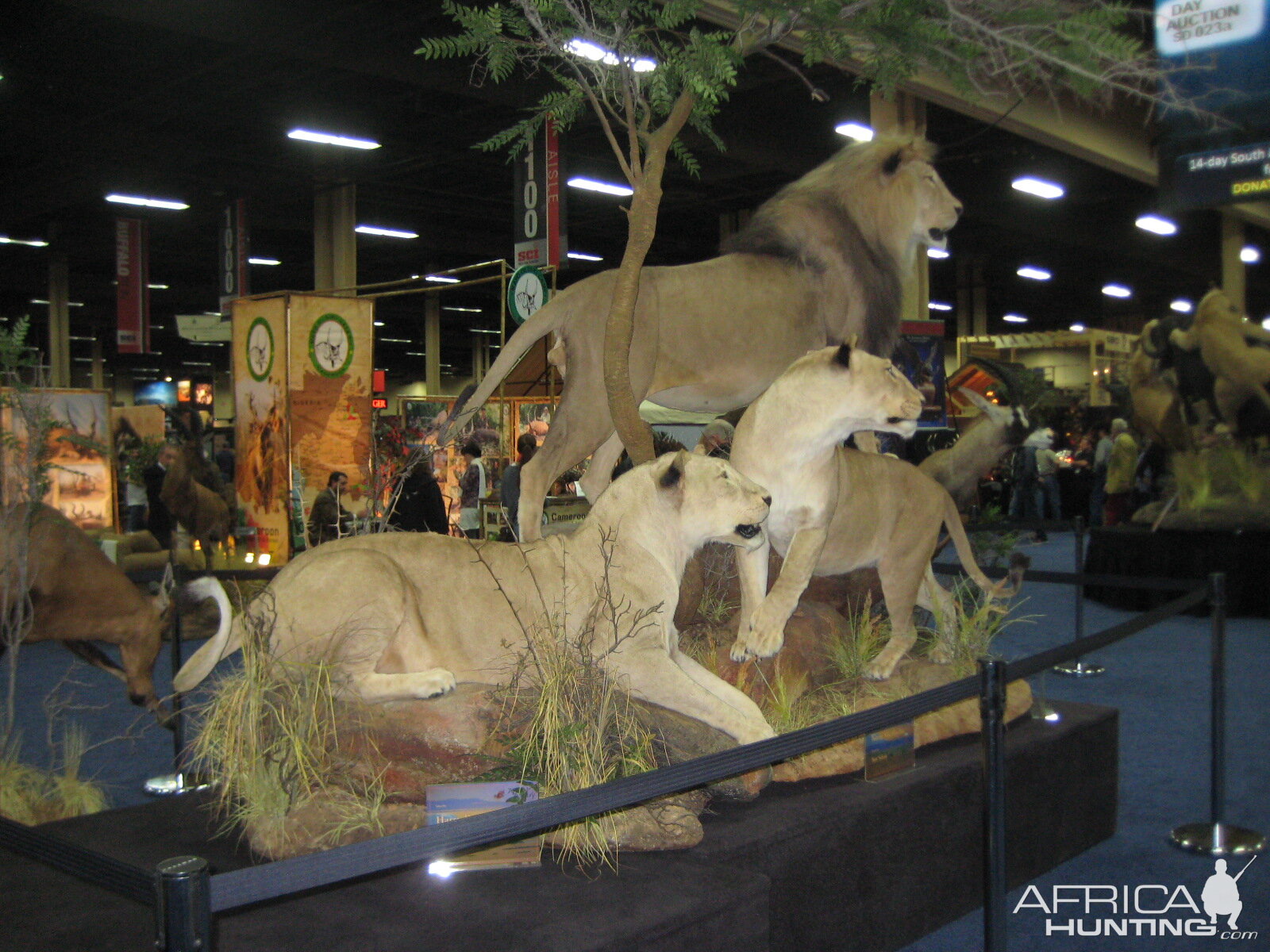 Taxidermy at Safari Club International Convention