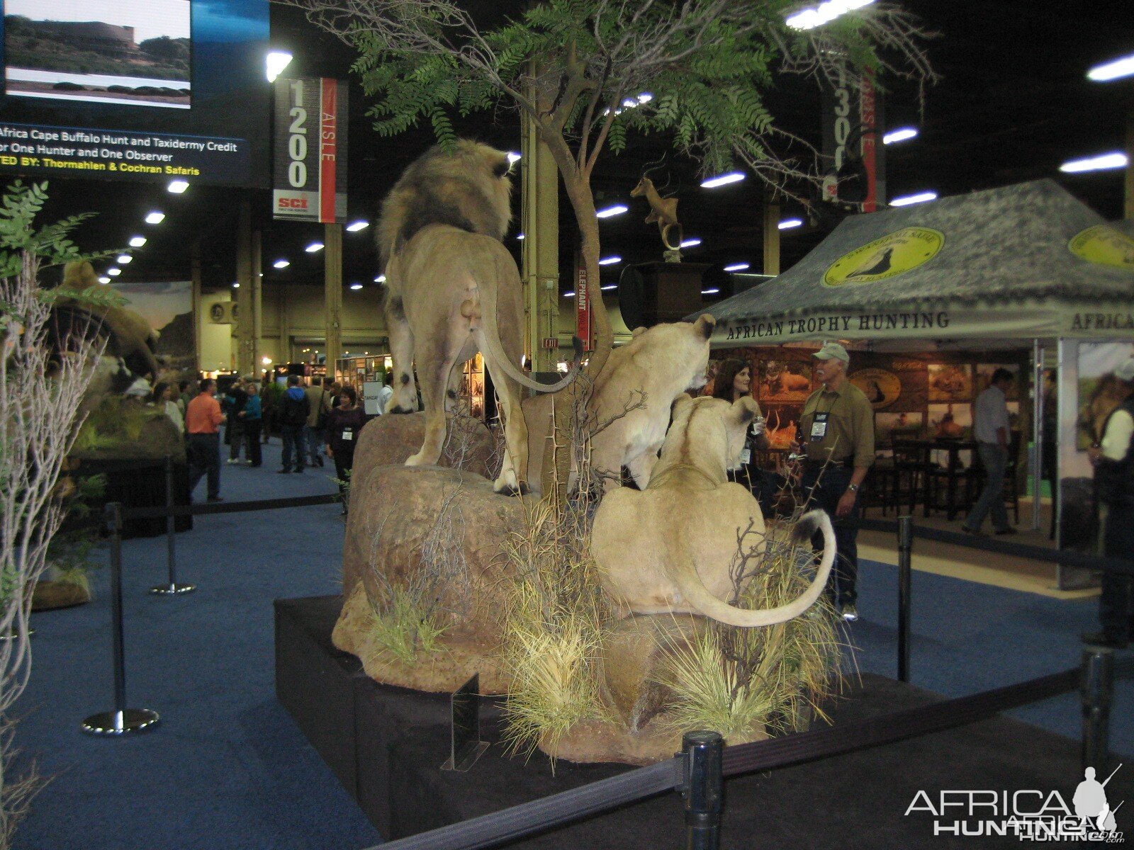 Taxidermy at Safari Club International Convention