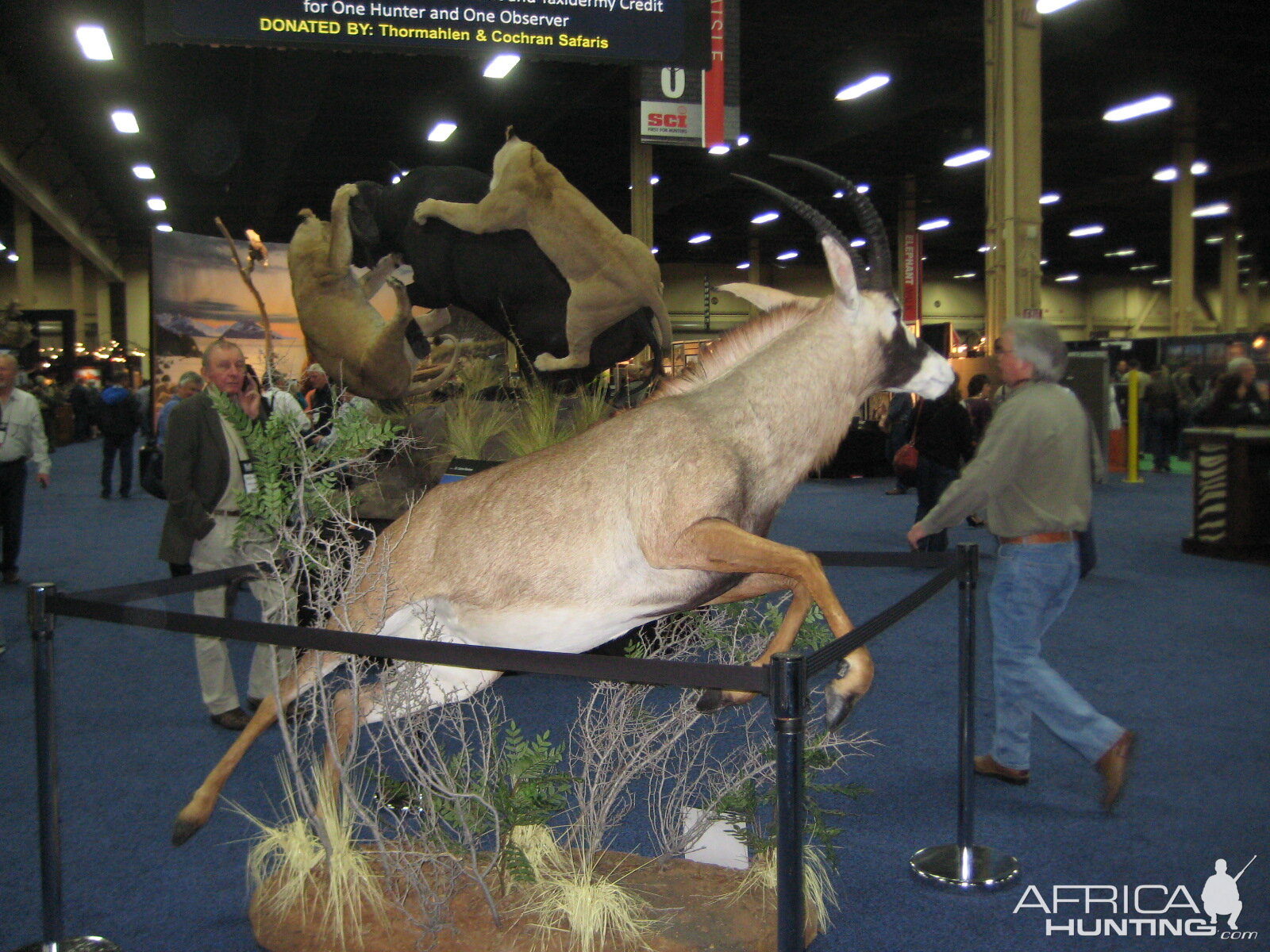 Taxidermy at Safari Club International Convention