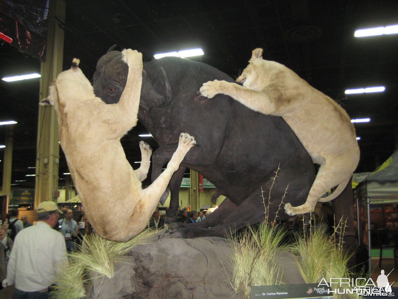 Taxidermy at Safari Club International Convention