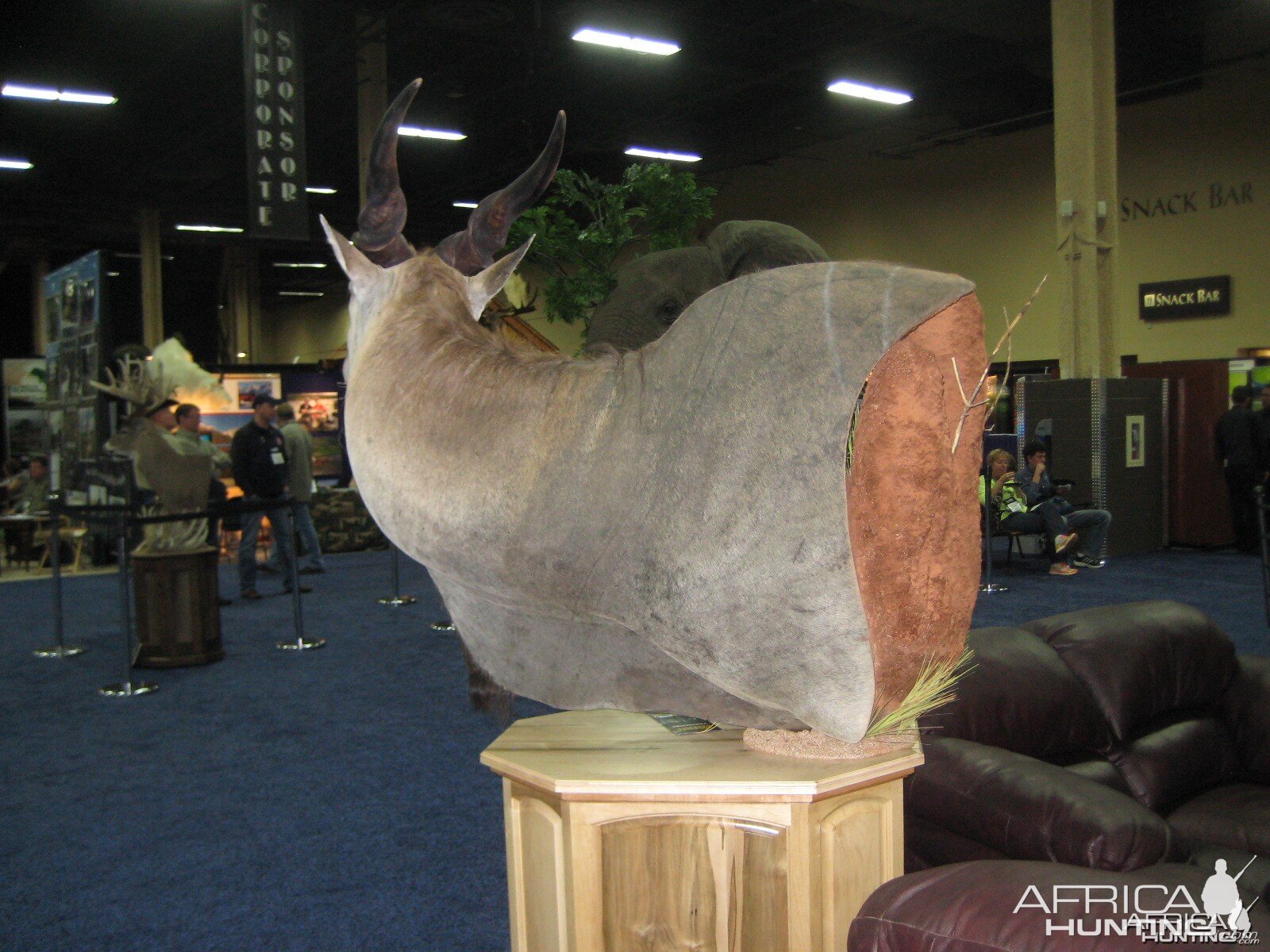 Taxidermy at Safari Club International Convention