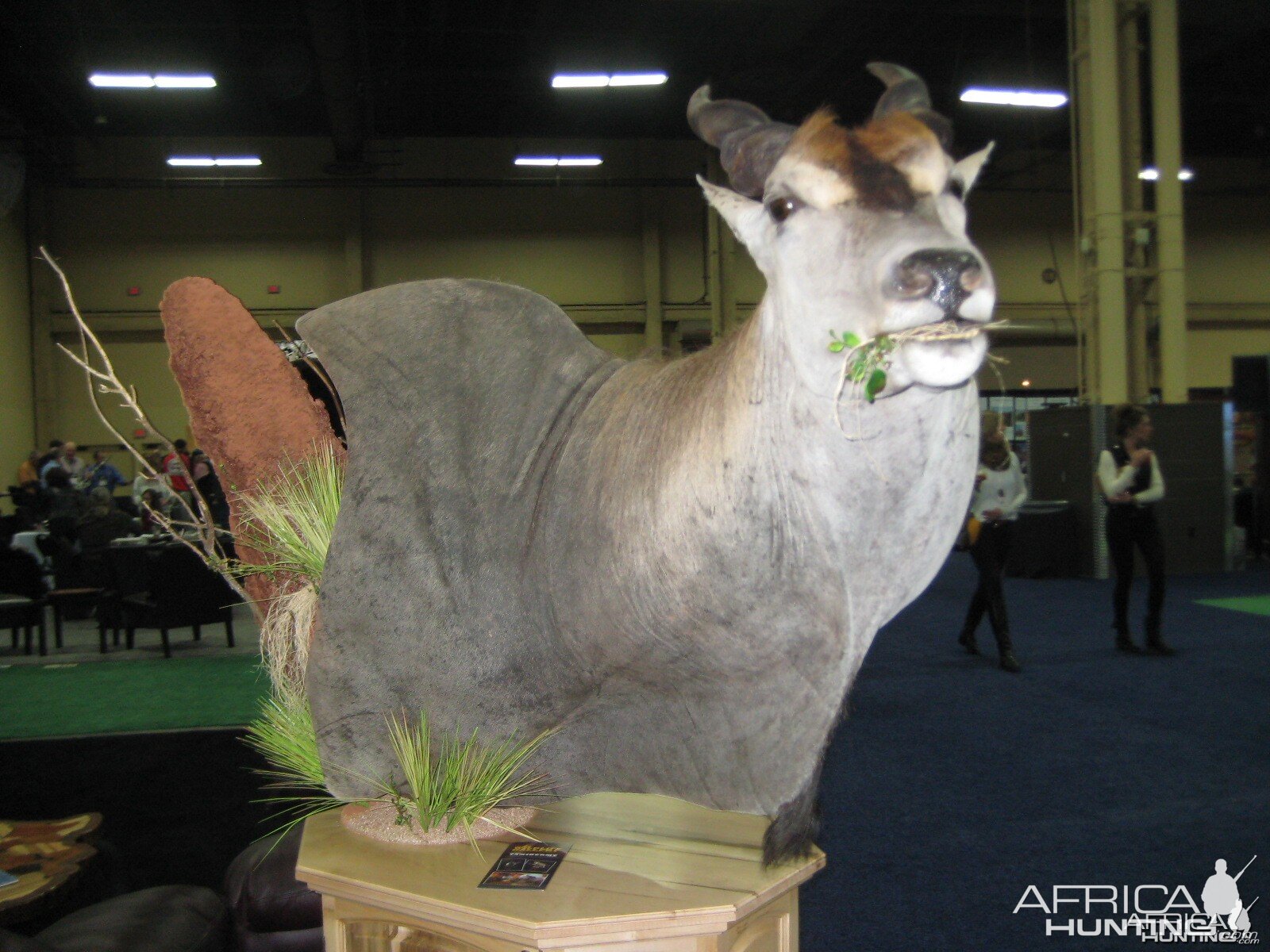 Taxidermy at Safari Club International Convention