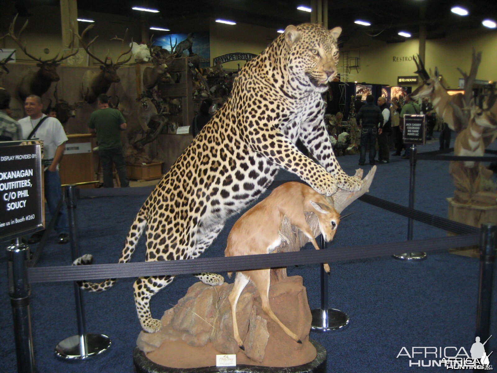 Taxidermy at Safari Club International Convention