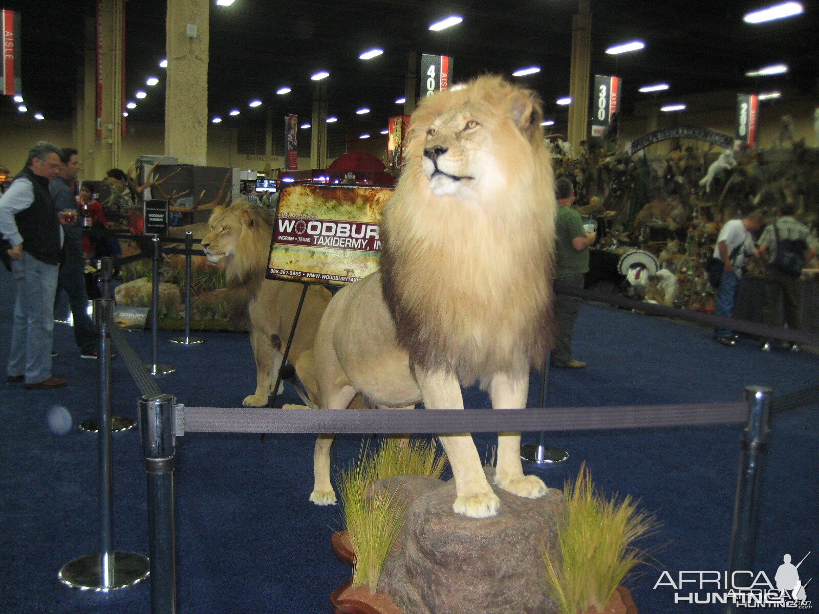 Taxidermy at Safari Club International Convention