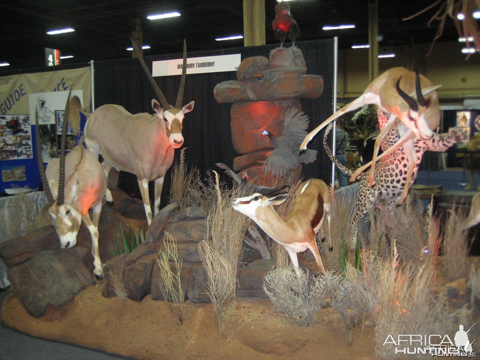 Taxidermy at Safari Club International Convention