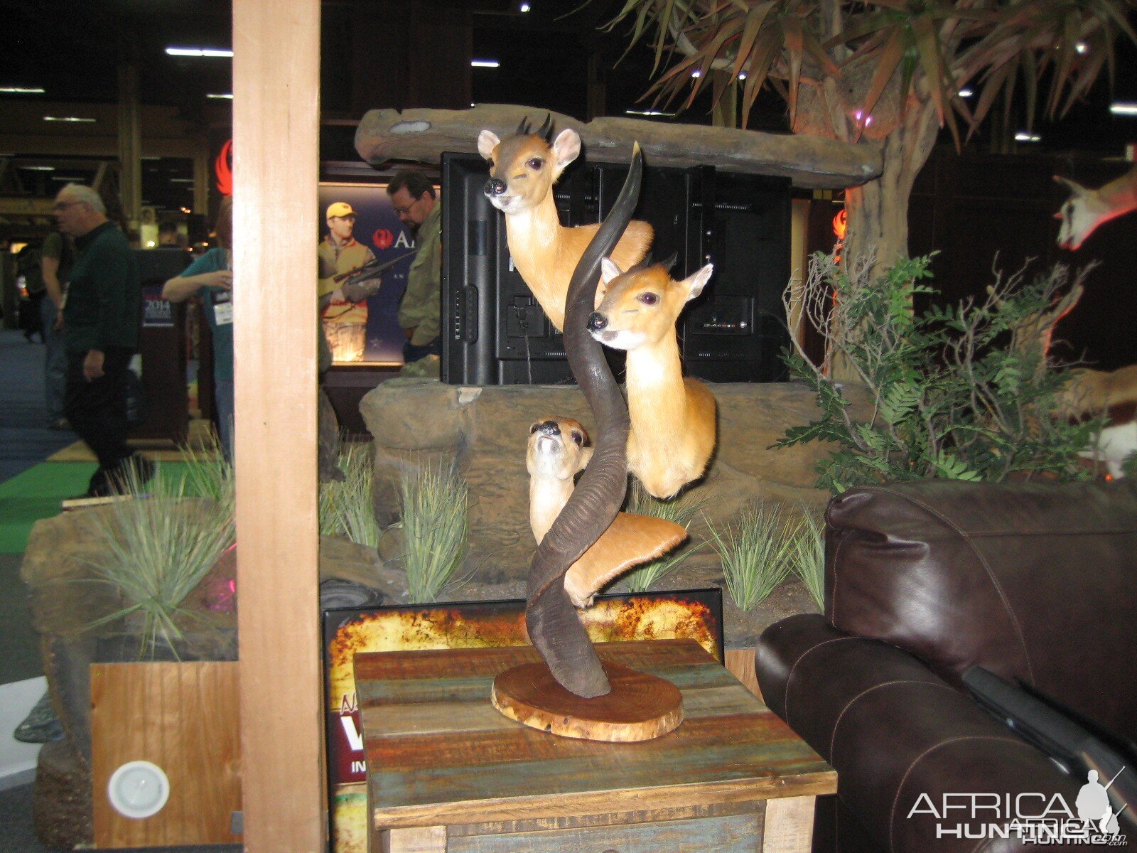 Taxidermy at Safari Club International Convention